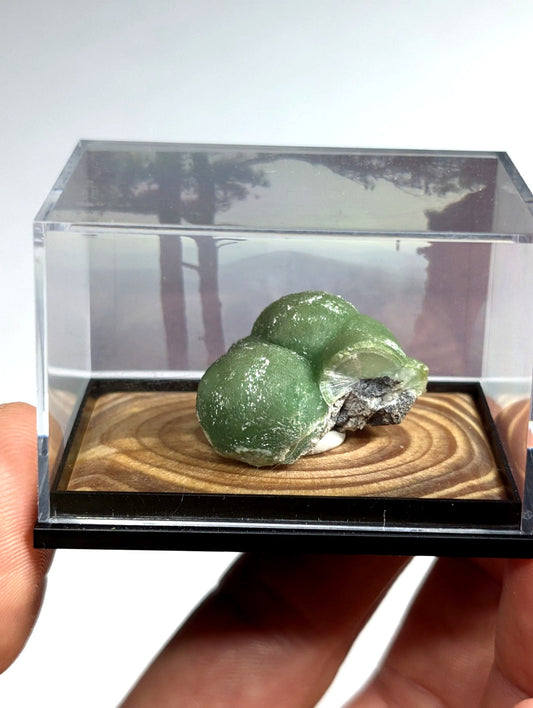 A smooth, translucent green mineral specimen with a rounded, clustered form rests on a wooden base inside a clear acrylic display case.