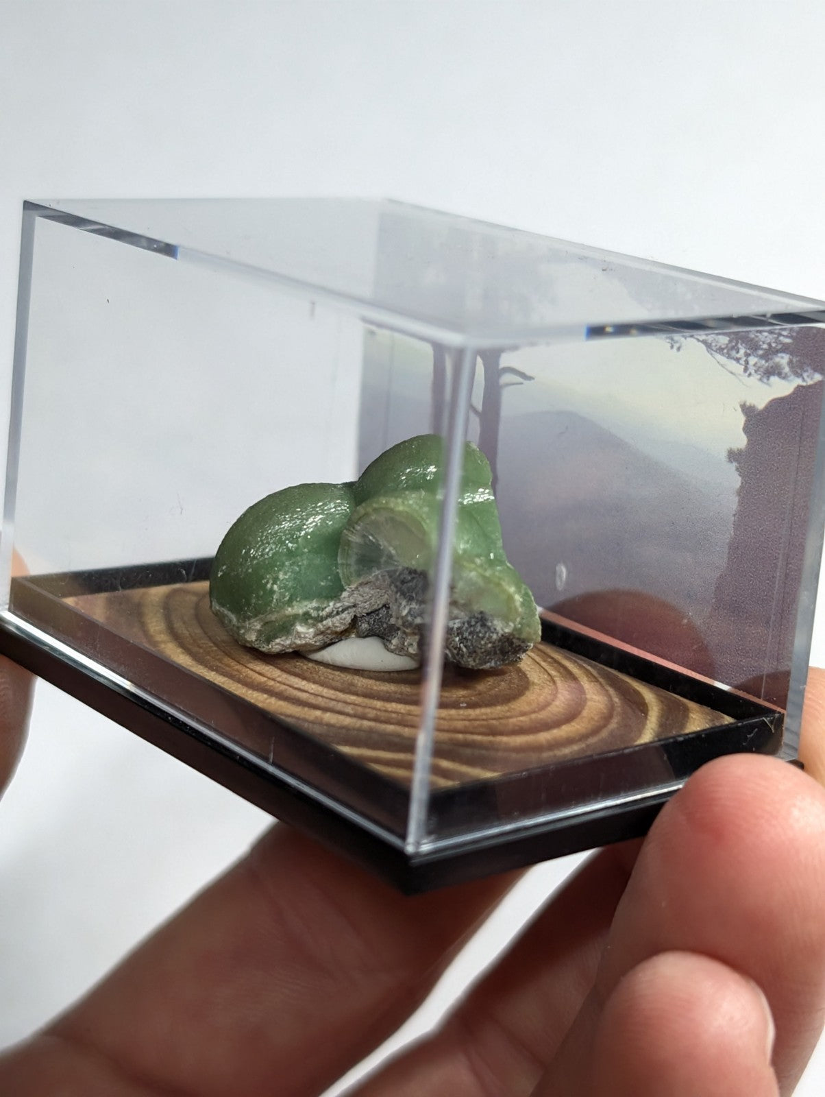 A smooth, glossy green mineral specimen with a cracked surface and grayish base rests inside a clear acrylic display case.