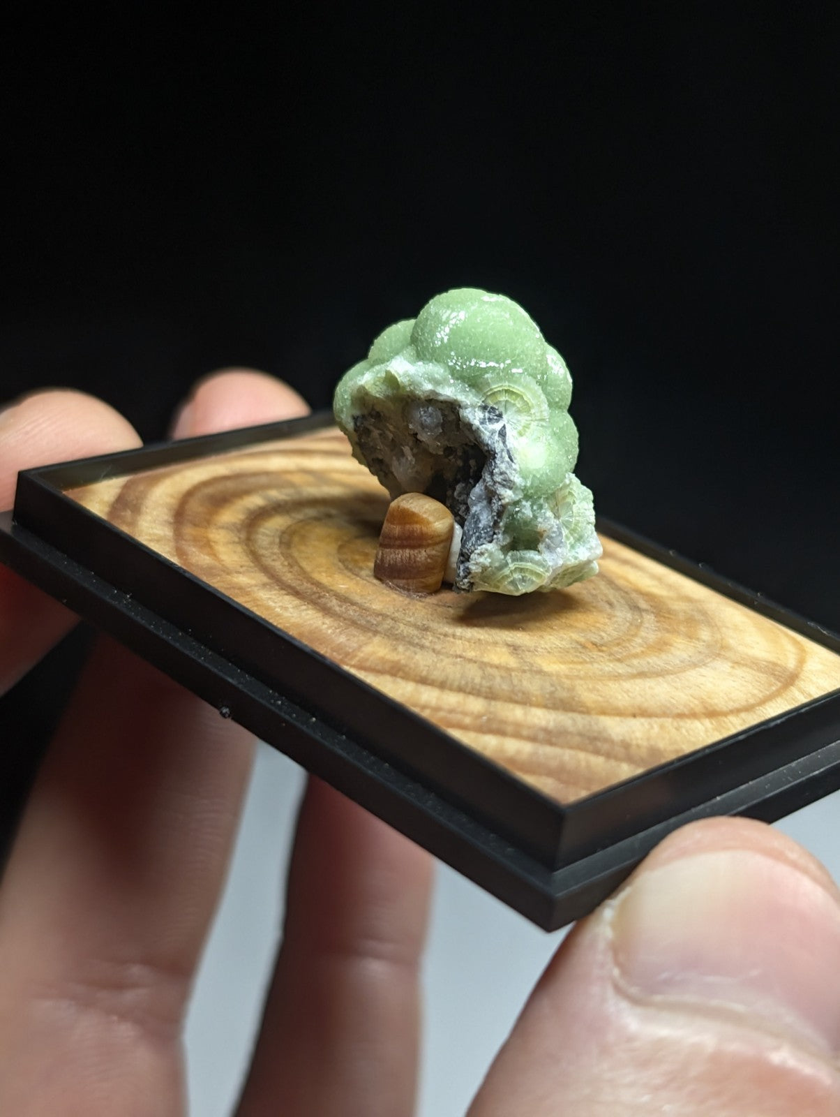 A polished green chalcedony geode with a smooth, rounded surface and natural mineral inclusions sits atop a wooden display base.