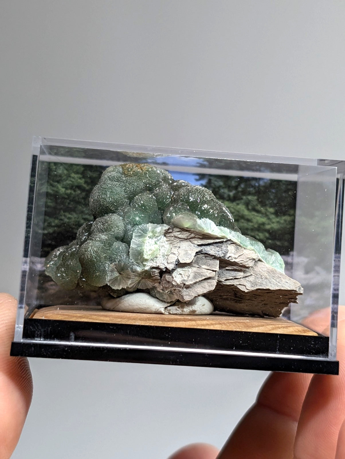 A translucent green fluorite geode specimen with a rough, layered rock base displayed in a clear acrylic display case.