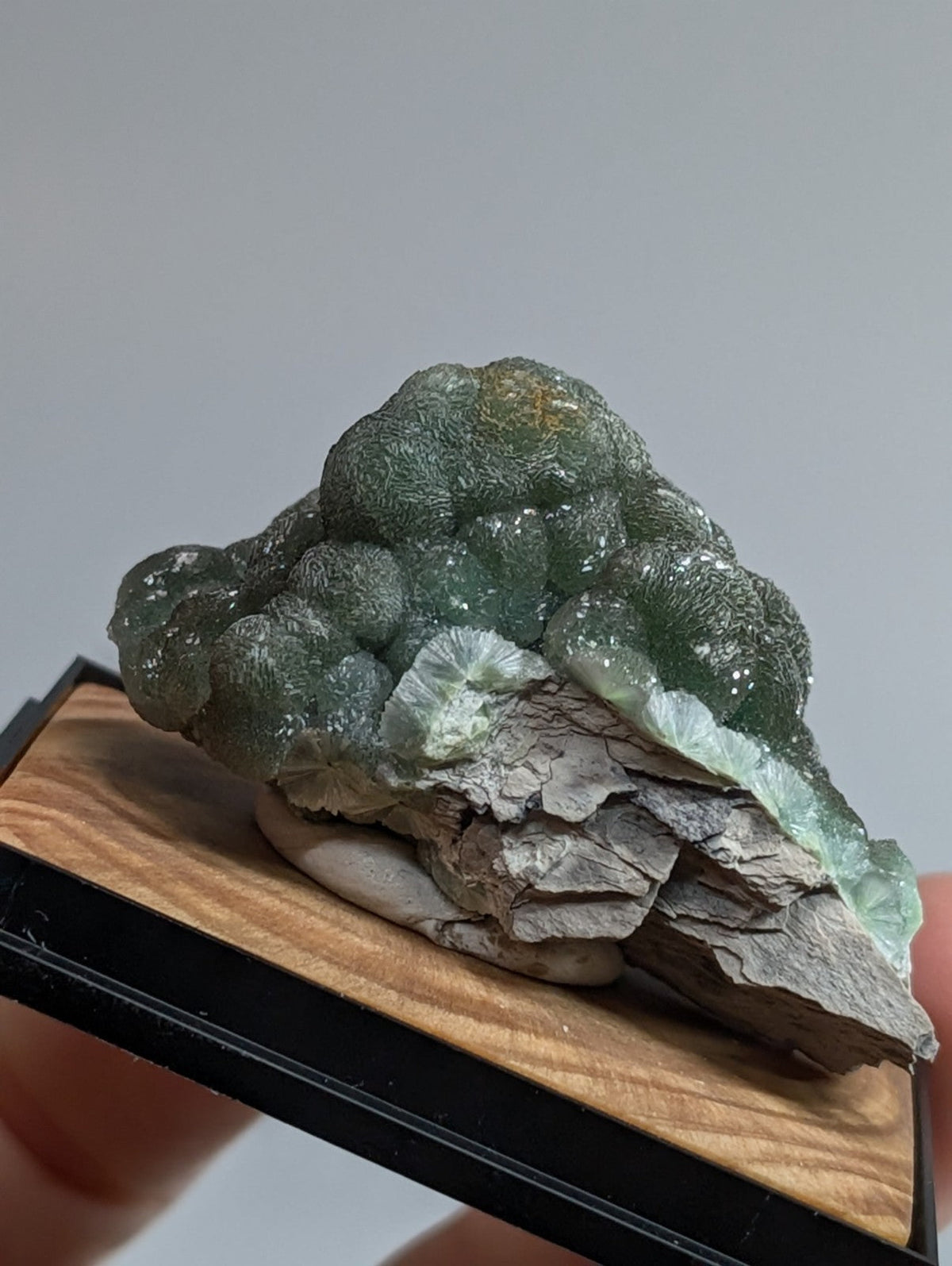 A translucent green mineral specimen with a bumpy, clustered texture and subtle white speckles.