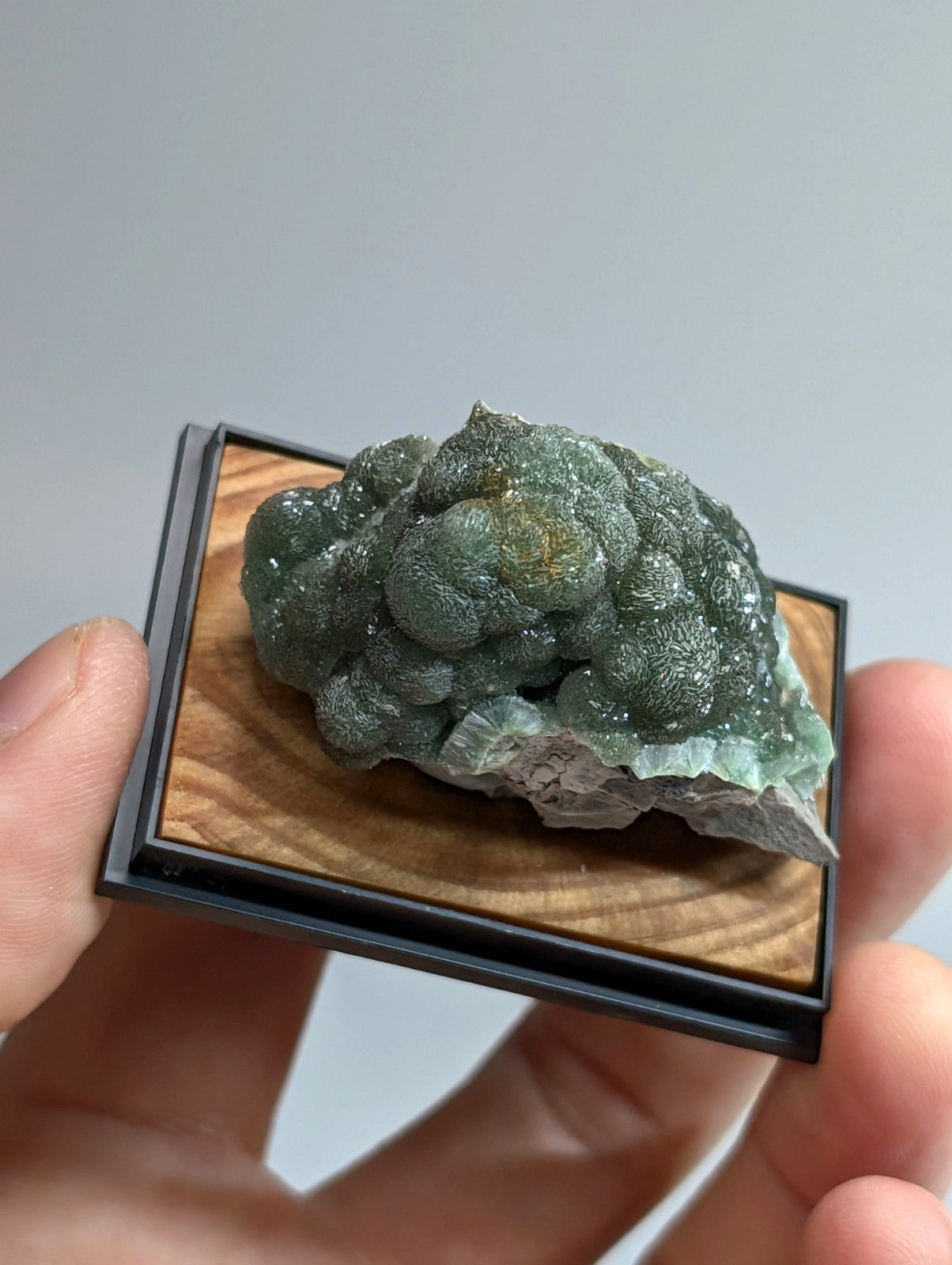 A green, bumpy mineral specimen with a crystalline texture and subtle yellowish highlights is displayed in a small wooden-framed showcase.
