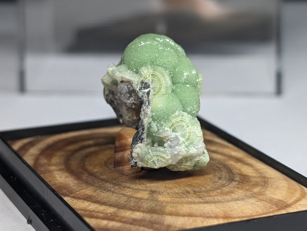 A translucent green mineral specimen with intricate, circular patterns and a rough, natural texture.