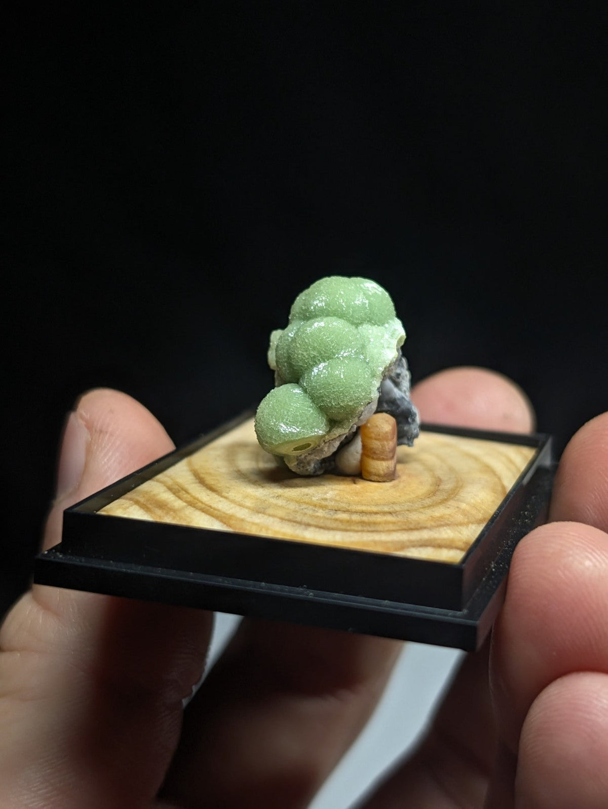 A delicate green, bubble-like mineral specimen with a textured surface rests on a wooden base within a black display frame.