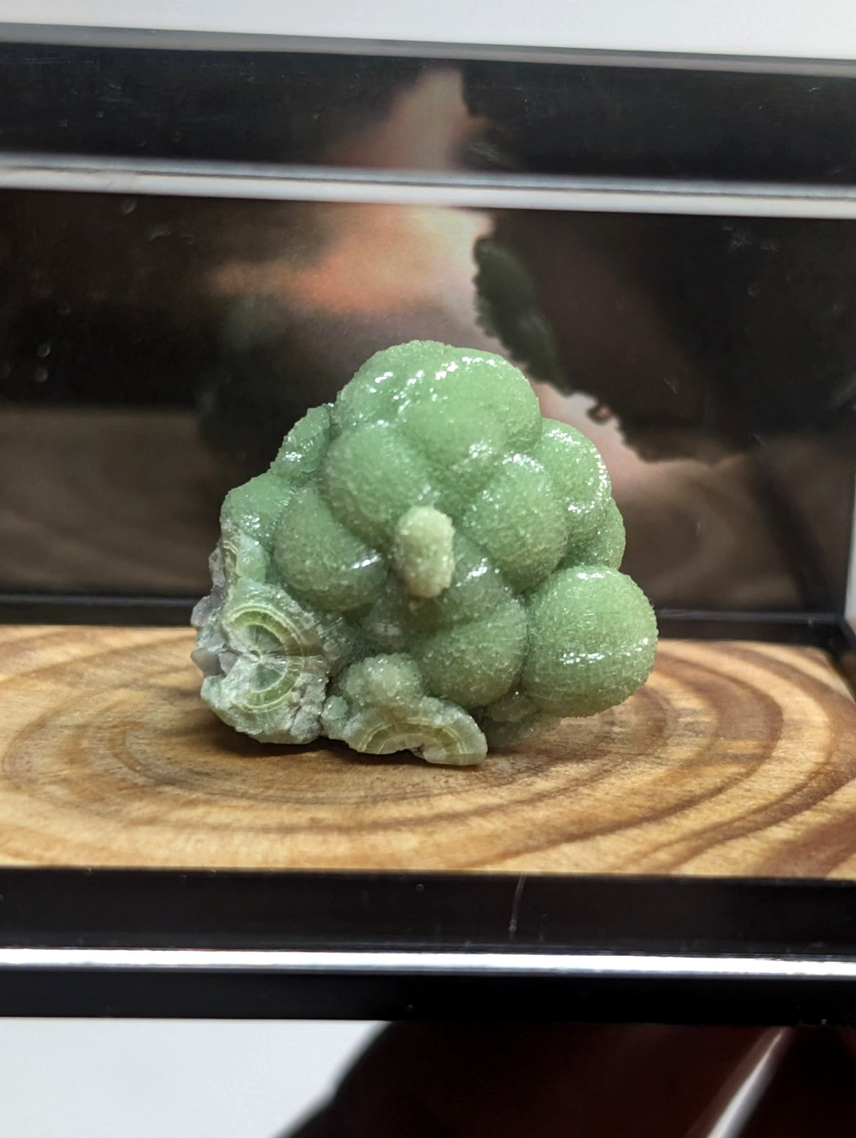 A translucent green, bubble-like mineral specimen with a glossy surface and intricate crystalline formations.