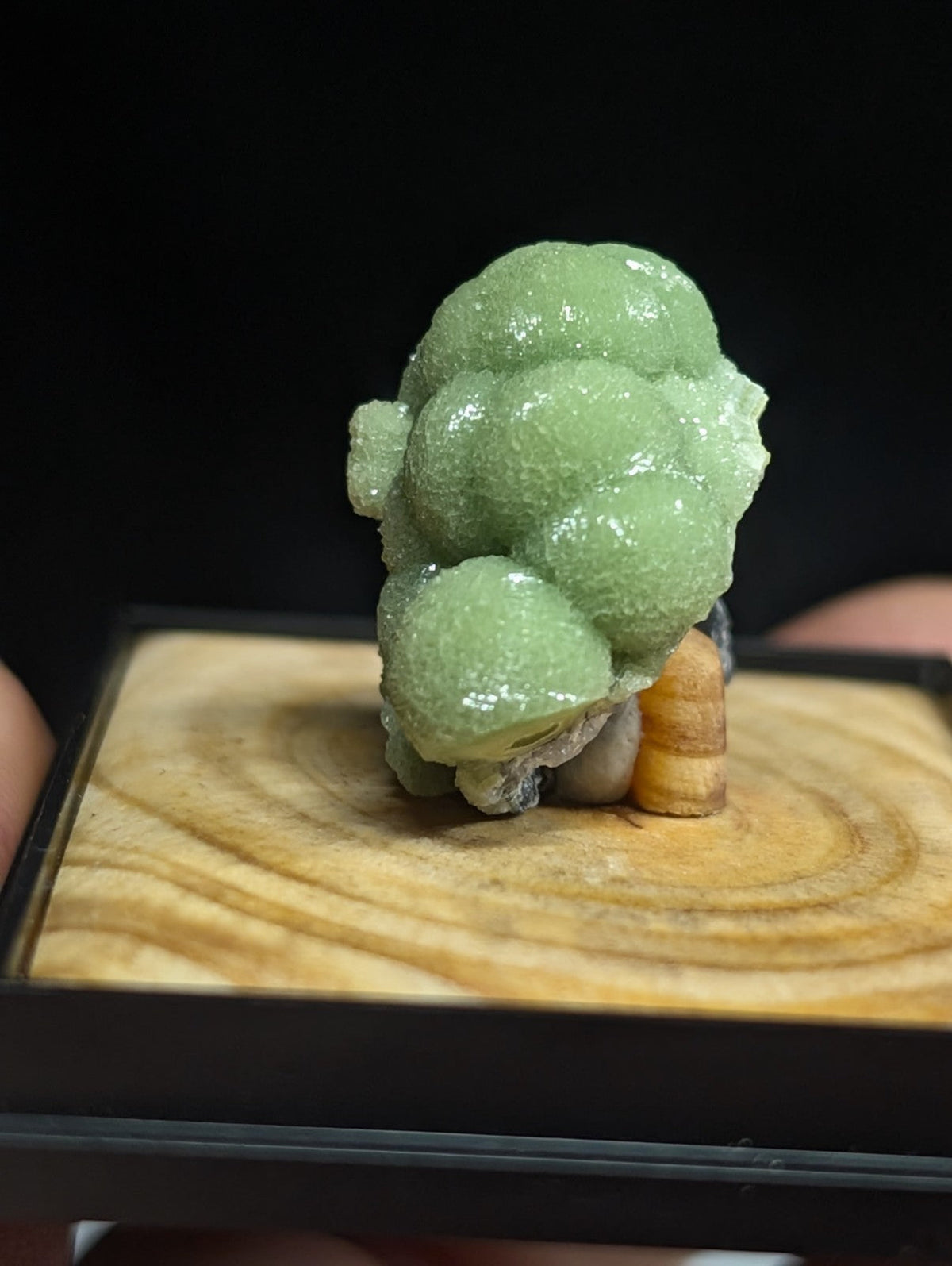 A translucent green, bubble-like mineral specimen with a textured surface and natural crystalline formations.