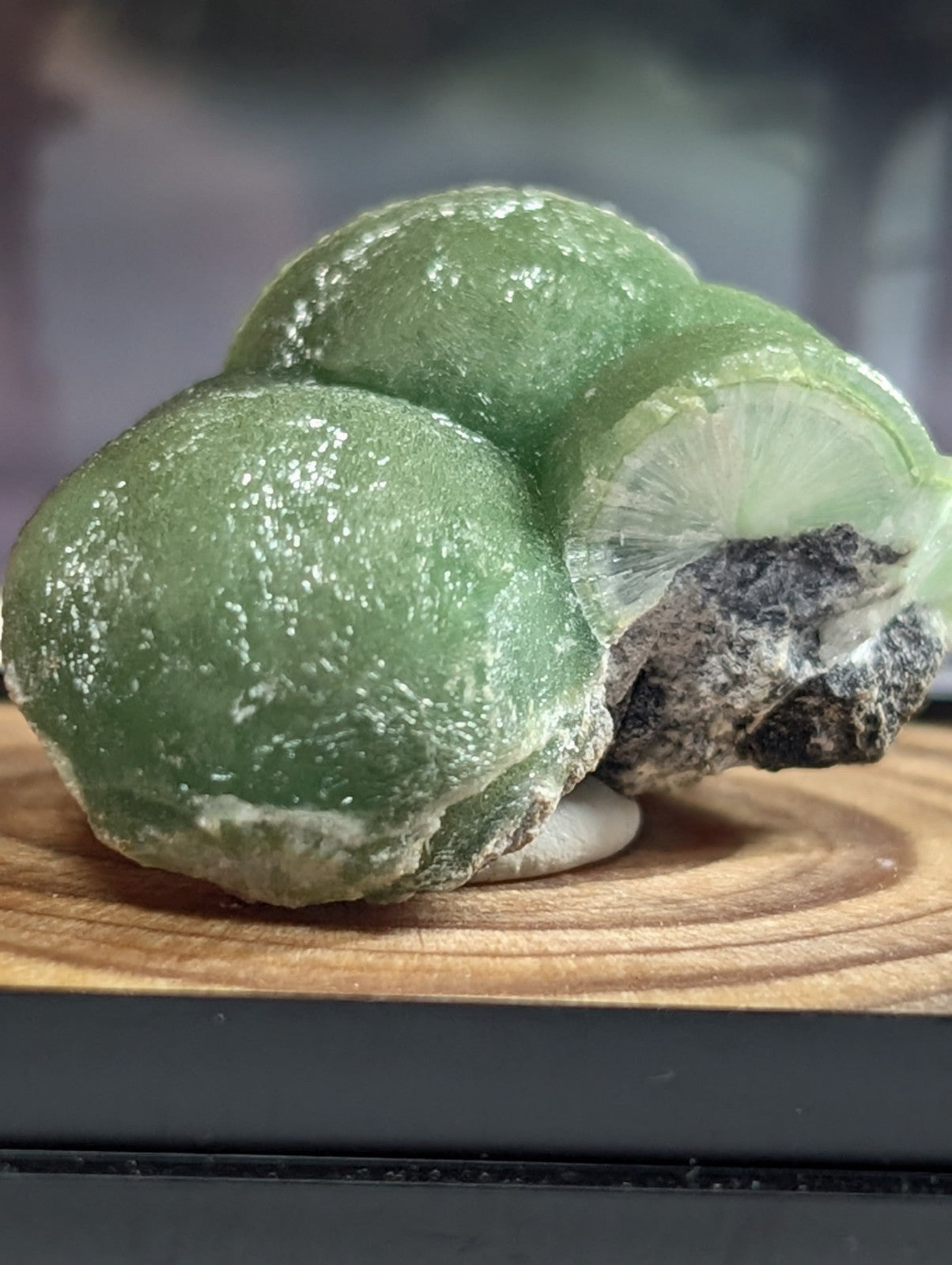 A smooth, translucent green mineral specimen with a glossy surface and rounded, bulbous formations.