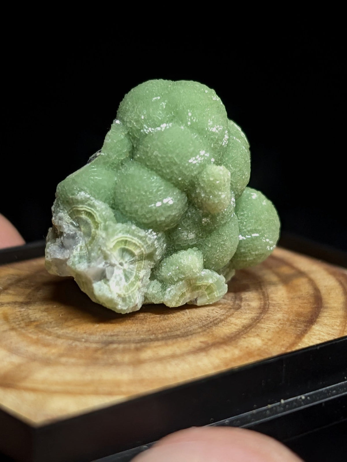 A translucent green, bubble-like mineral specimen with a crystalline texture and subtle white veining.