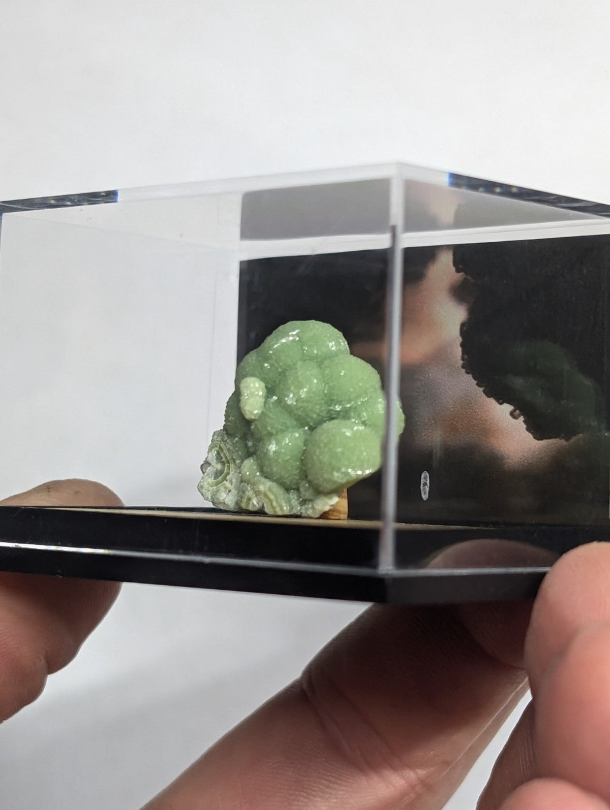A translucent green, intricately carved jade figurine displayed in a clear acrylic case.