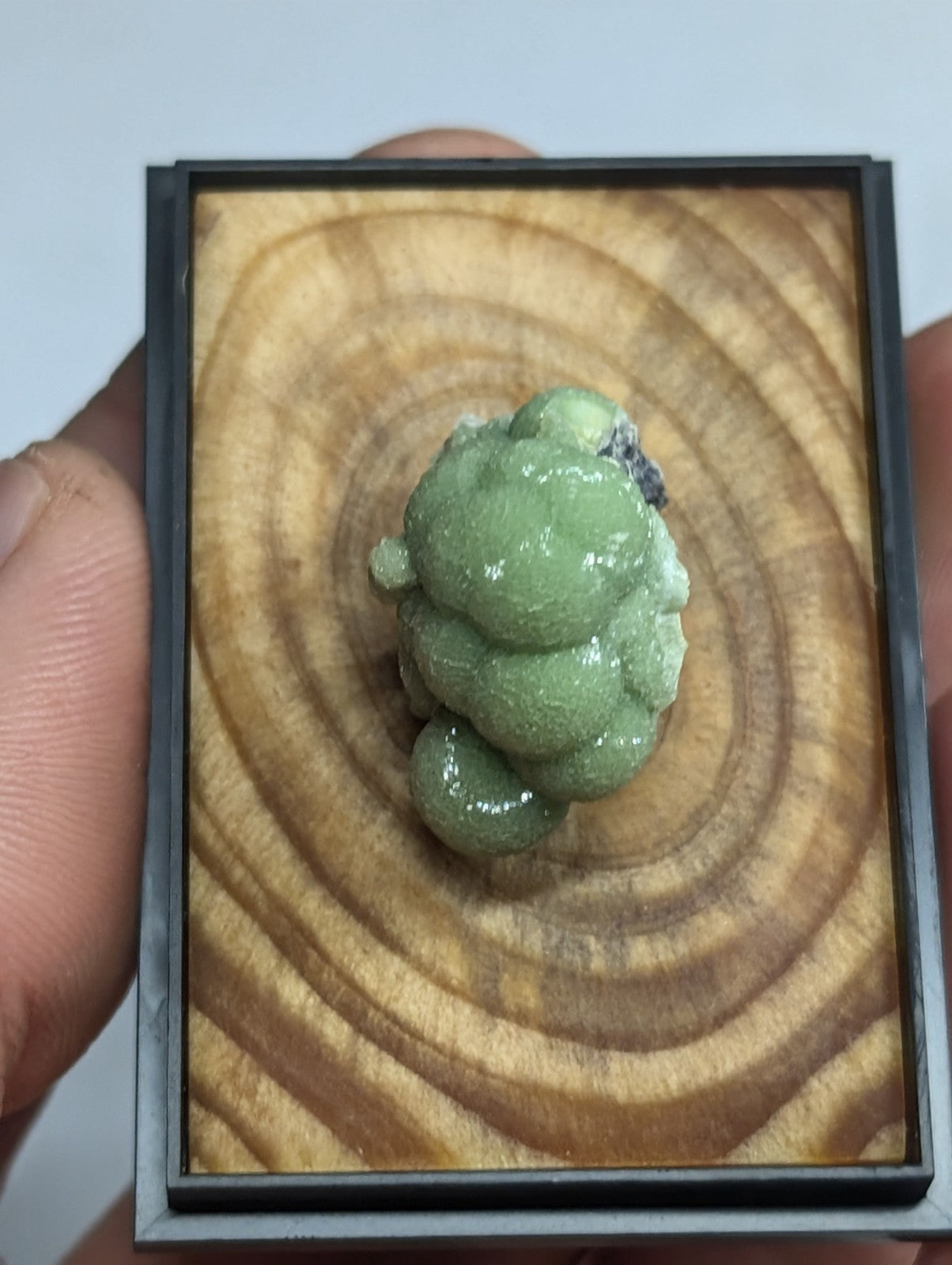 A polished green mineral specimen with a bumpy, clustered texture is displayed in a black-framed wooden presentation box.