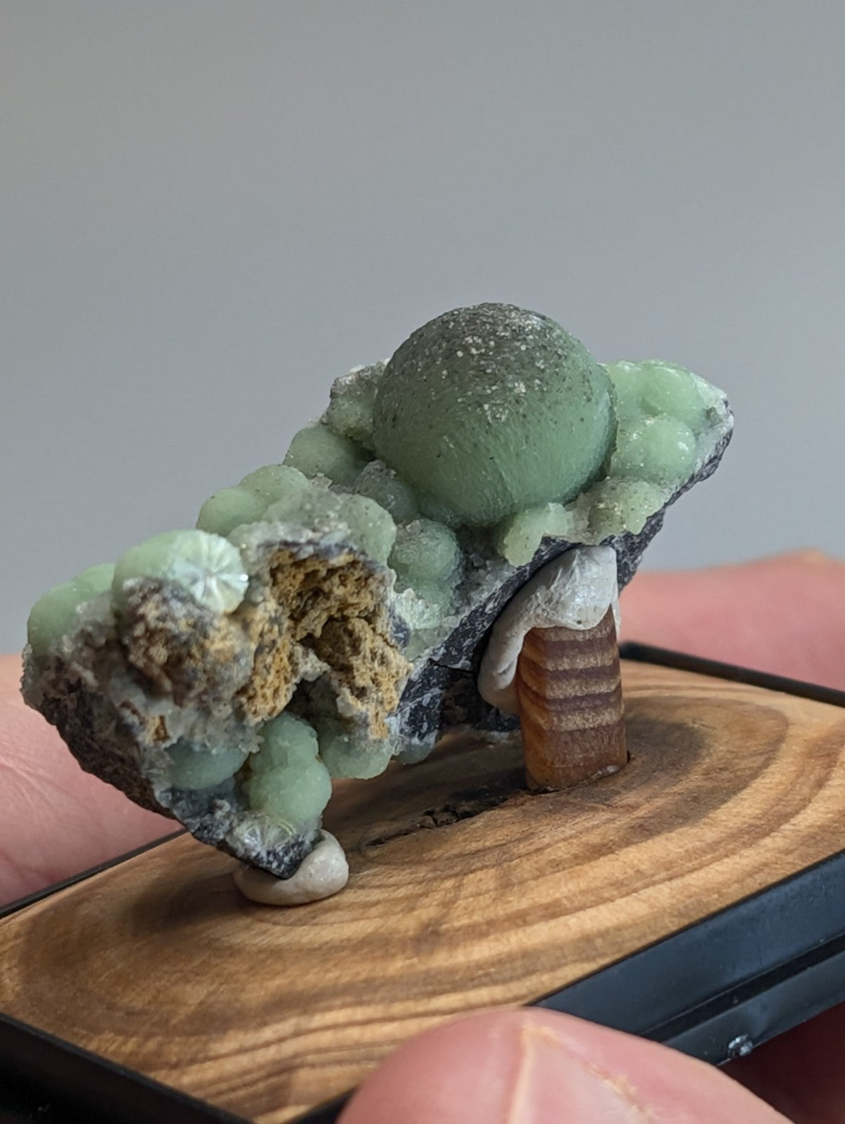 A green, spherical mineral specimen with a rough, textured surface and small crystalline formations.