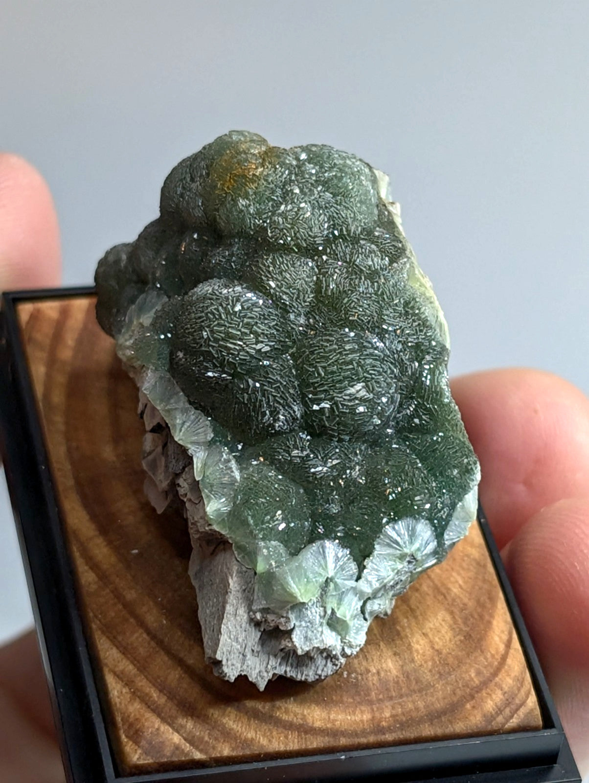 A green, textured mineral specimen with a brain-like pattern and translucent crystalline formations displayed in a wooden display box.