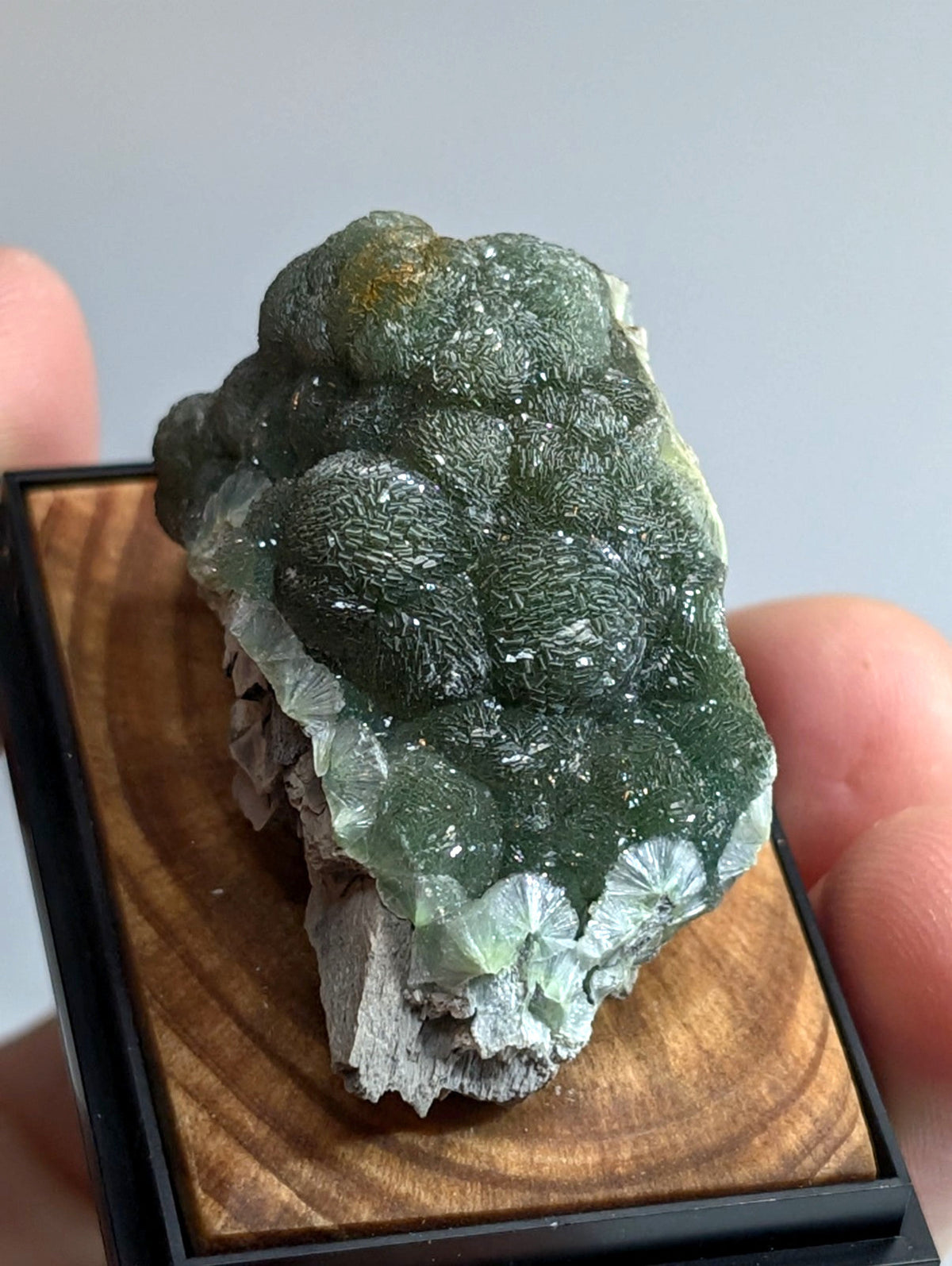 A green, textured mineral specimen with a brain-like pattern and translucent crystalline formations displayed in a wooden display box.