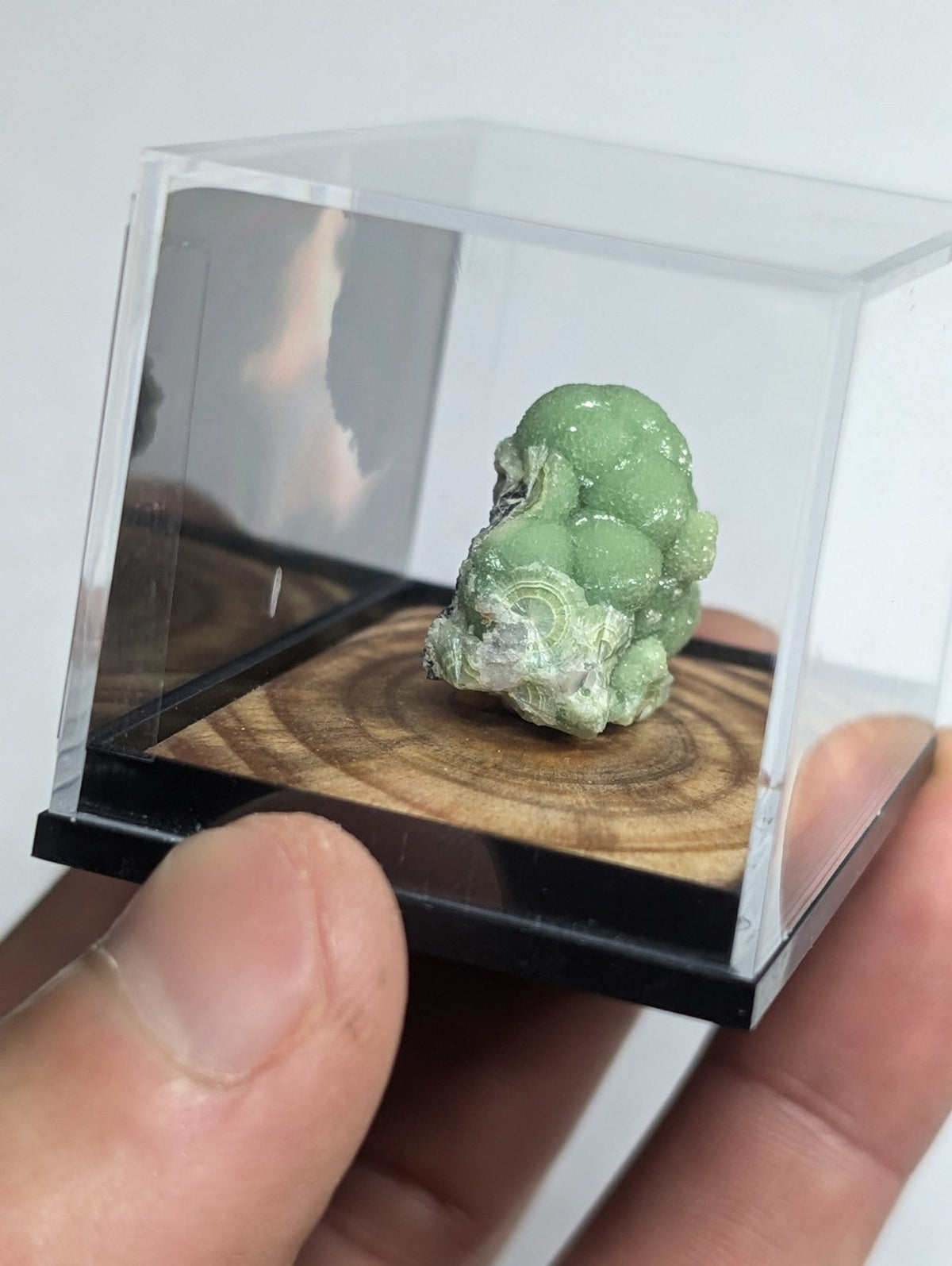 A green, bumpy mineral specimen with a textured surface sits inside a clear acrylic display case.