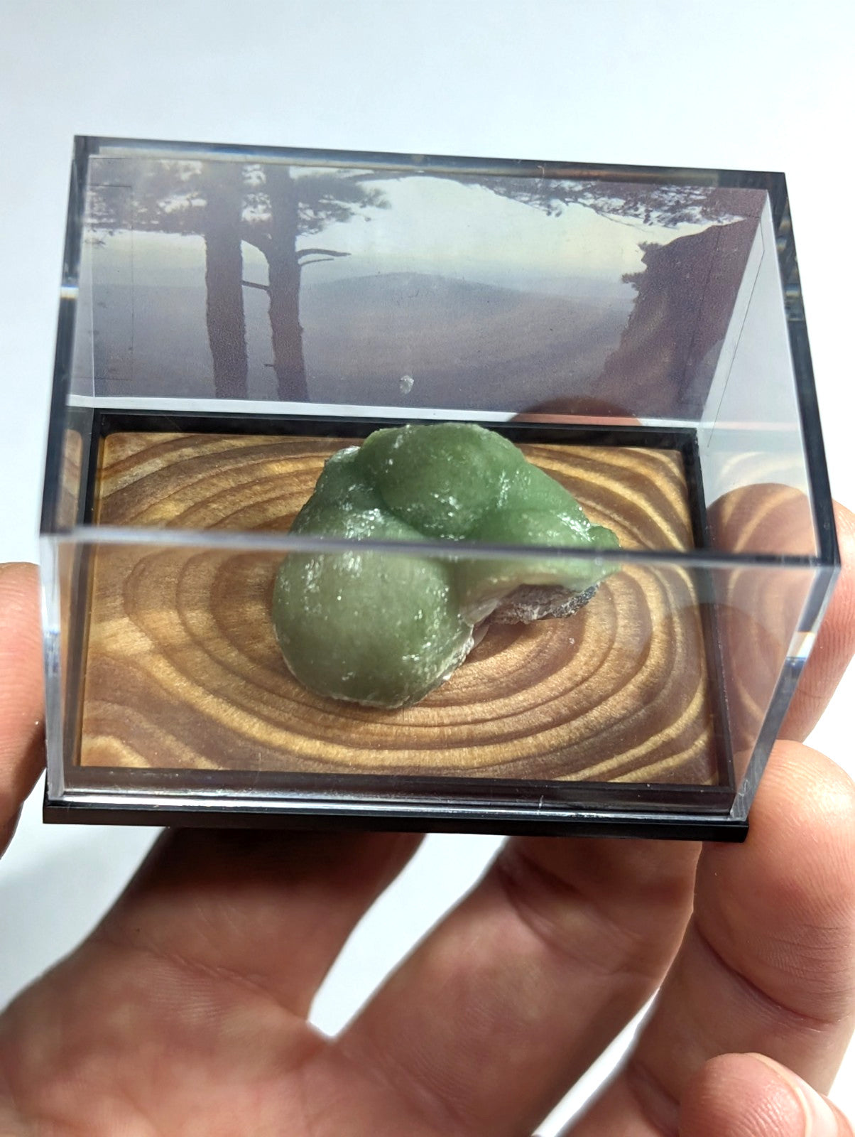 A smooth, translucent green stone with a rounded, organic shape rests inside a clear acrylic display case.