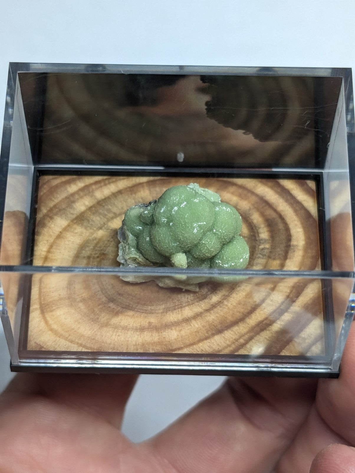 A translucent green, bumpy mineral specimen displayed in a clear acrylic box on a wooden base.