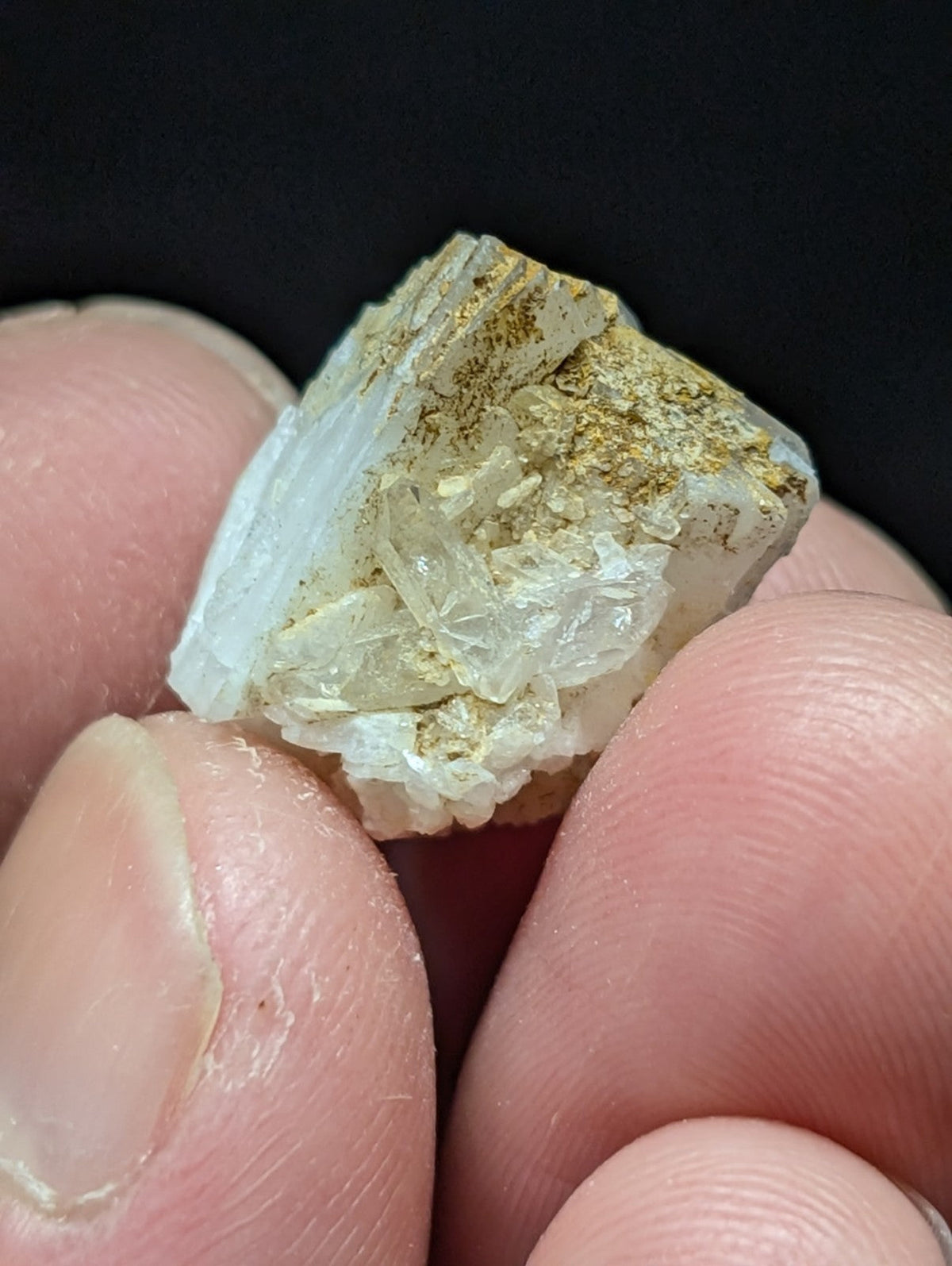 A translucent white mineral specimen with golden-yellow inclusions, held delicately between fingers.