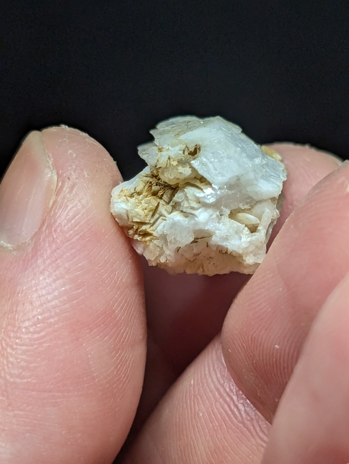 A translucent white mineral specimen with crystalline facets and embedded golden-brown inclusions, held delicately between fingers.