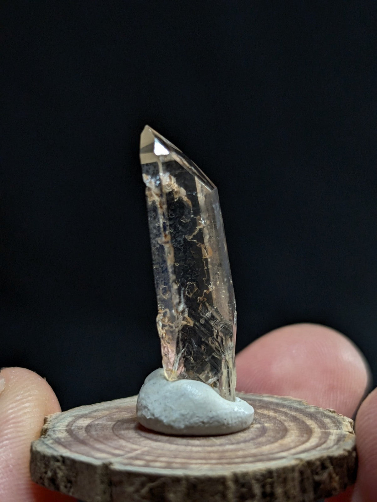 A clear quartz crystal with natural inclusions and a pointed tip, displayed upright on a smooth gray stone base set within a rustic wooden slice.