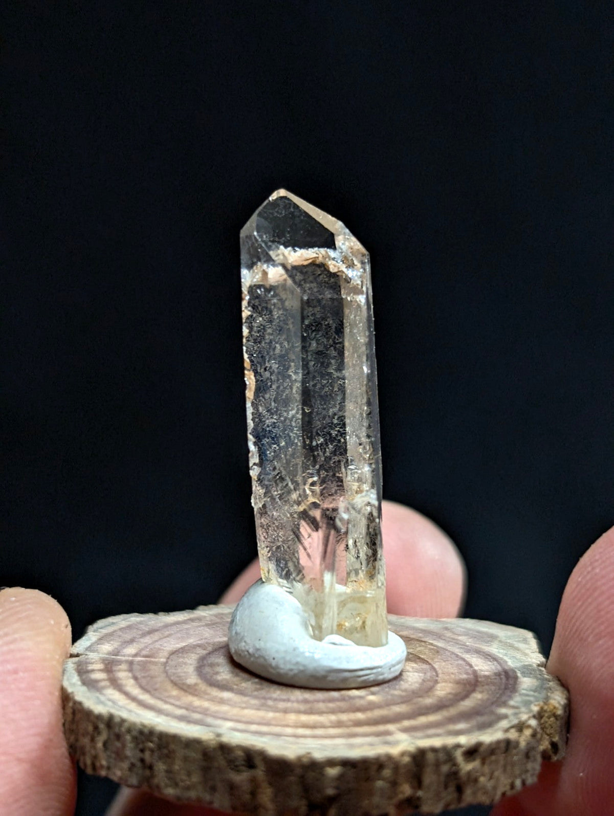 A clear, translucent quartz crystal with natural inclusions and a pointed tip stands upright on a small white base mounted to a circular wooden slice.