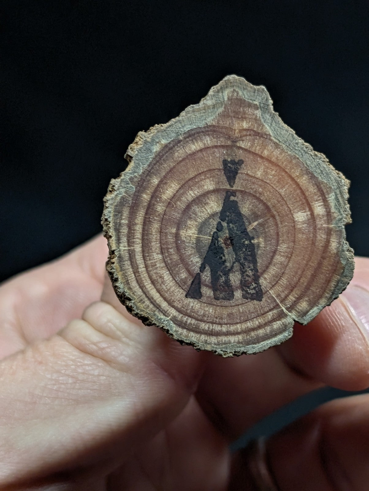 A rustic, circular wooden slice with visible growth rings and a dark silhouette of an abstract figure etched into its surface.
