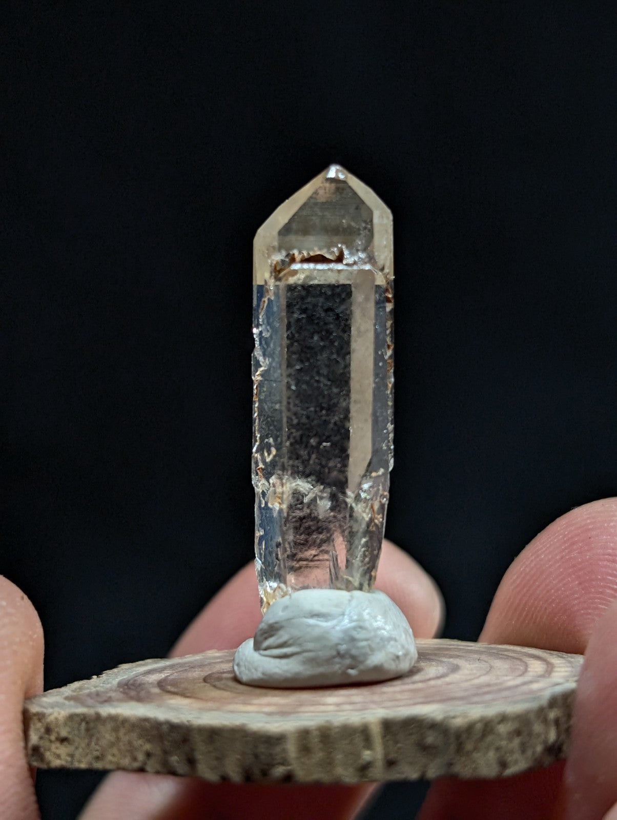 A clear, translucent quartz crystal with a pointed tip and natural inclusions stands upright on a small, light-colored base mounted on a wooden slice.