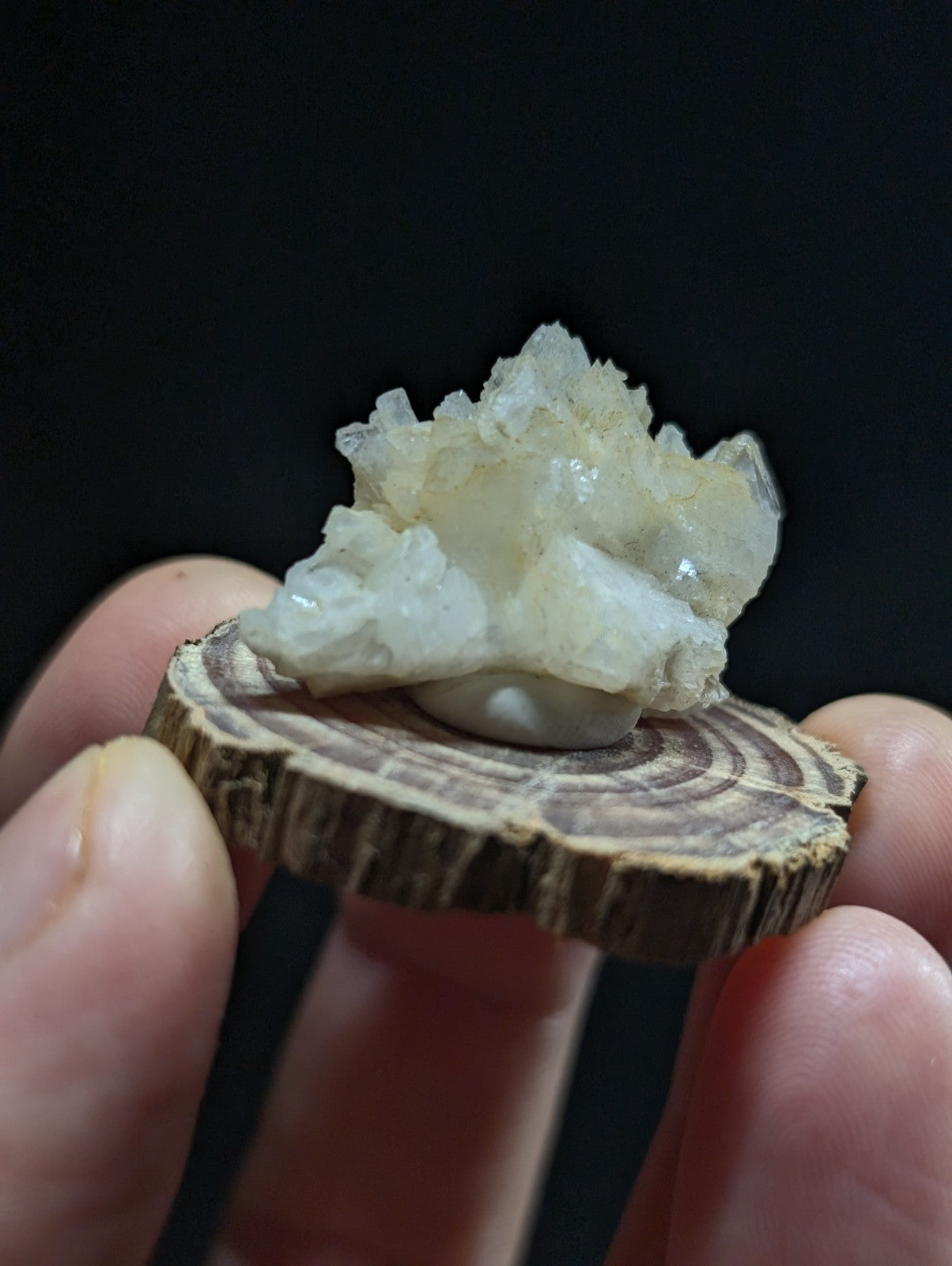A translucent, crystalline mineral specimen with a pale, milky white hue and jagged edges rests atop a circular wooden slice.