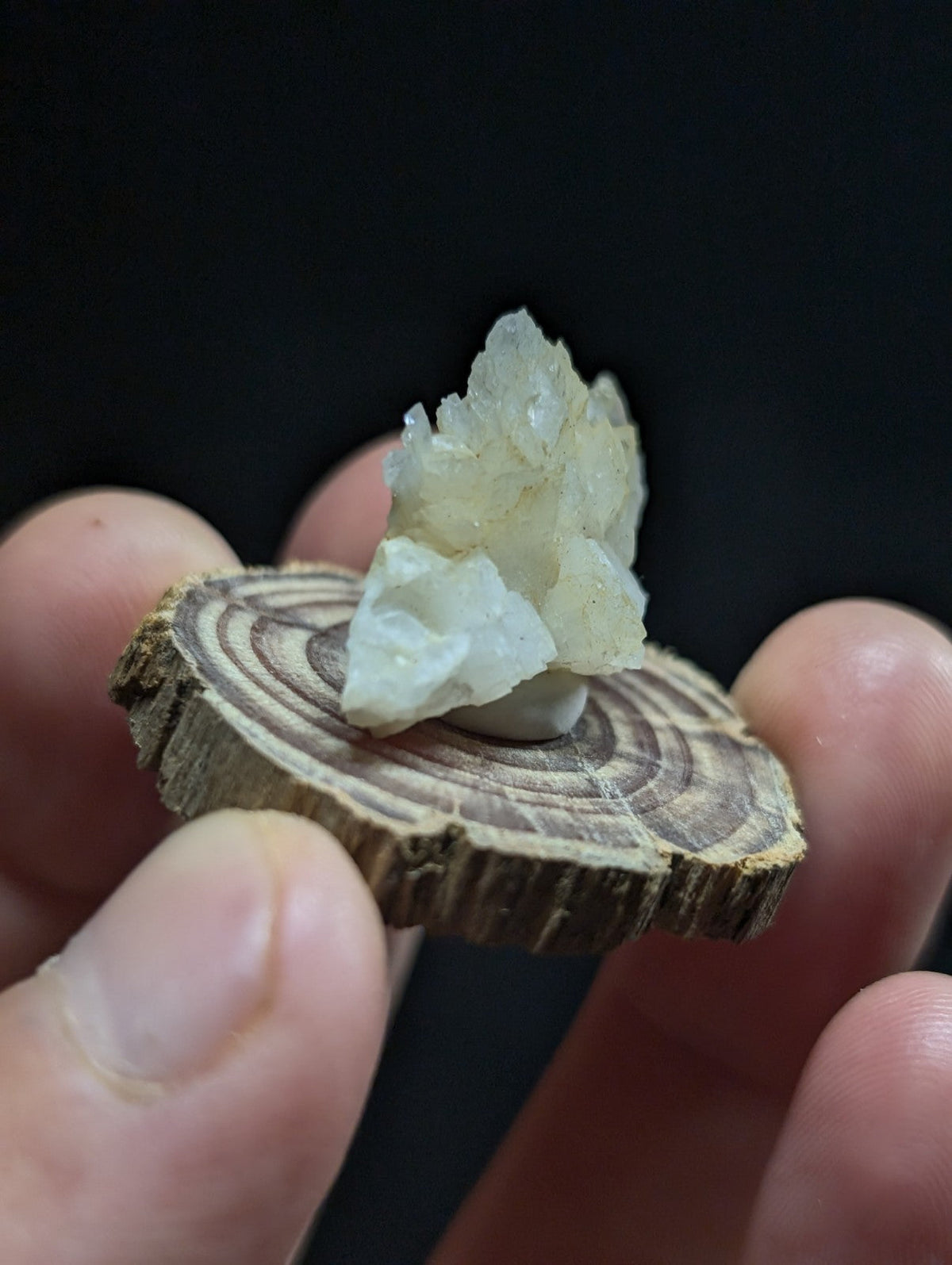 A delicate, translucent white crystal cluster with a natural, jagged formation rests elegantly on a rustic wooden slice.