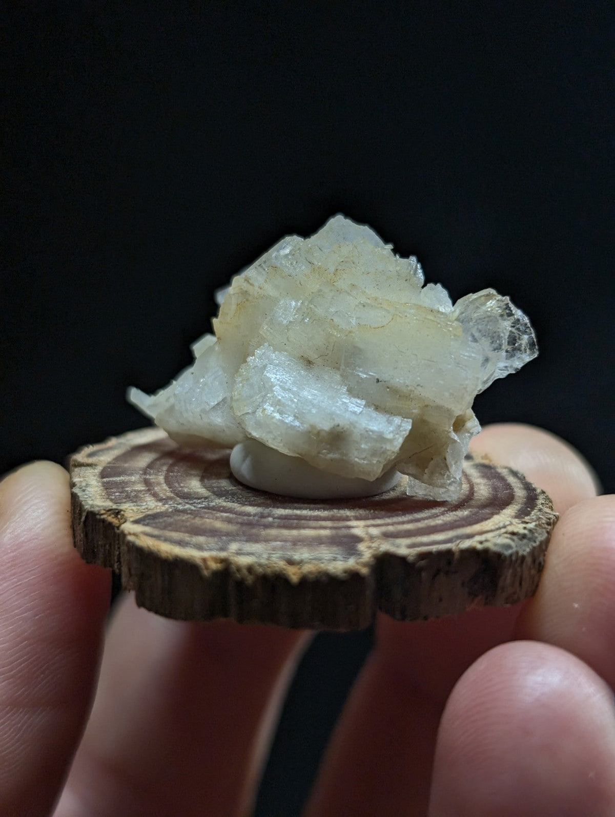 A translucent, pale white mineral crystal cluster with a rough, jagged surface sits atop a circular wooden slice.