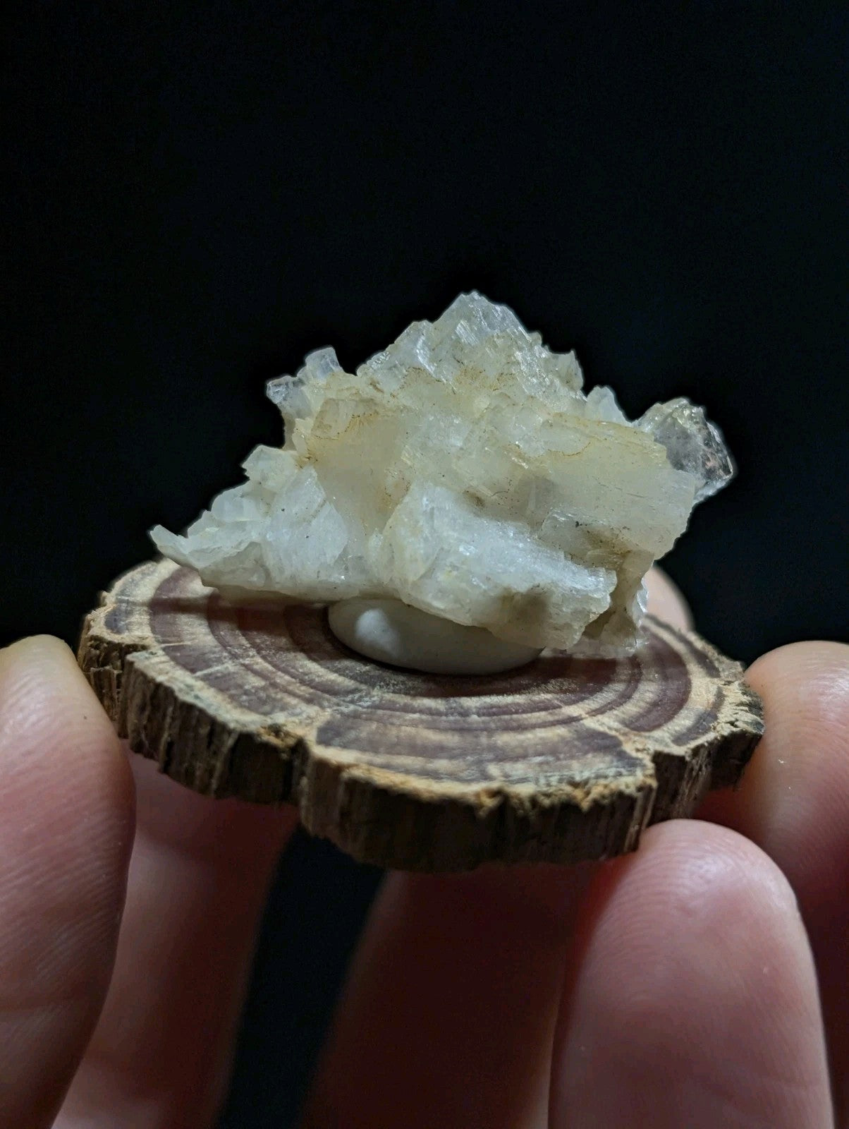 A translucent, crystalline mineral specimen with a pale yellowish-white hue and jagged edges rests on a circular wooden slice.