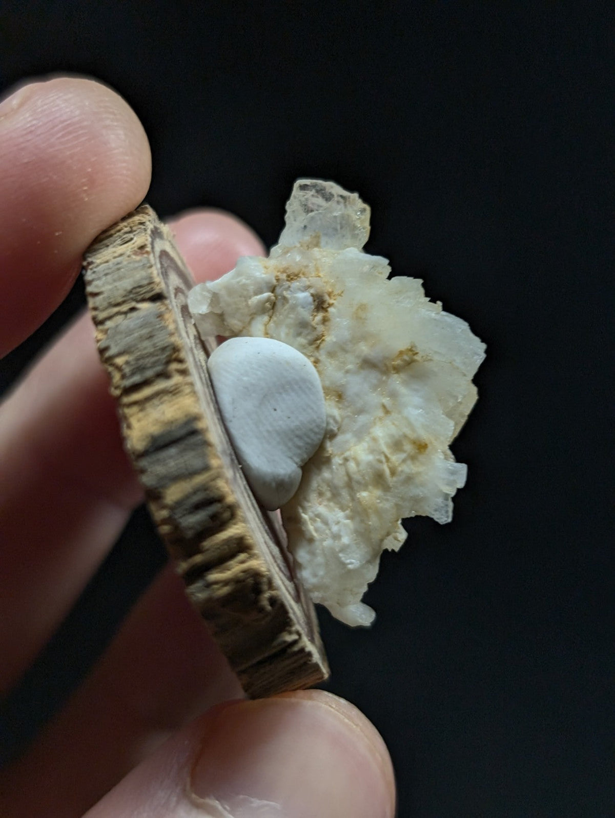 A rustic wooden disc with a smooth, light-colored stone nestled inside its circular opening.