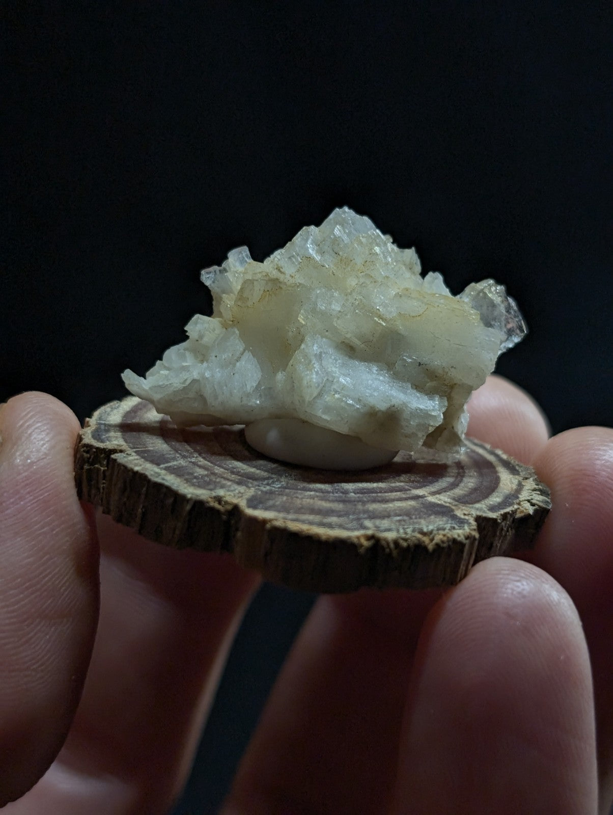 A translucent, pale white crystal cluster with a rough, jagged surface rests atop a circular wooden slice.
