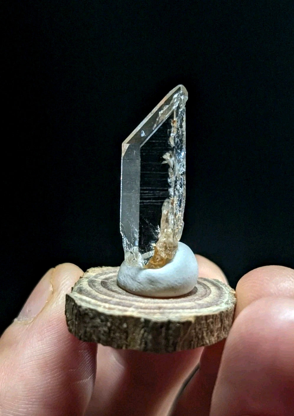 A clear quartz crystal with a faceted, transparent body and golden inclusions stands upright on a circular wooden slice base.