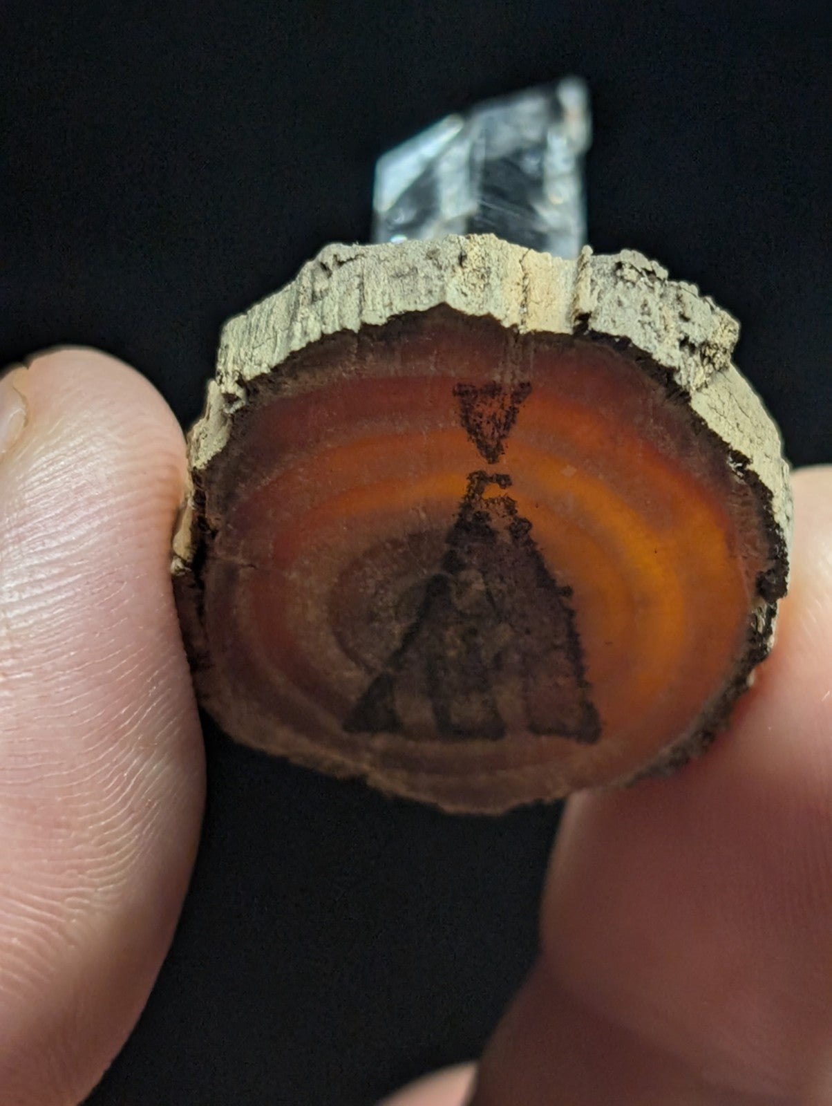 A circular, rustic wood slice pendant with a natural bark edge and warm amber-orange interior grain.