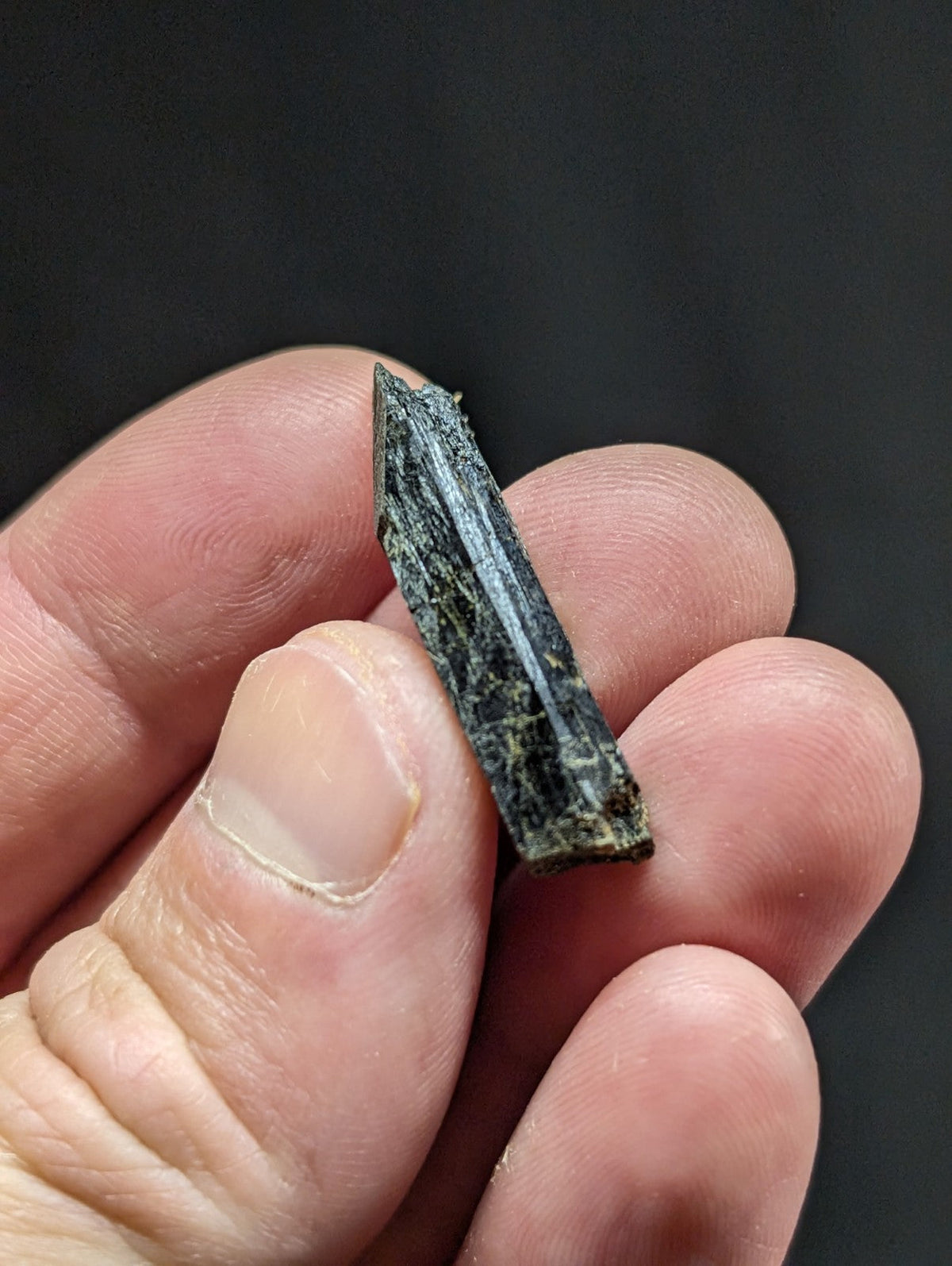 A dark green, elongated mineral crystal with a pointed tip and visible striations.