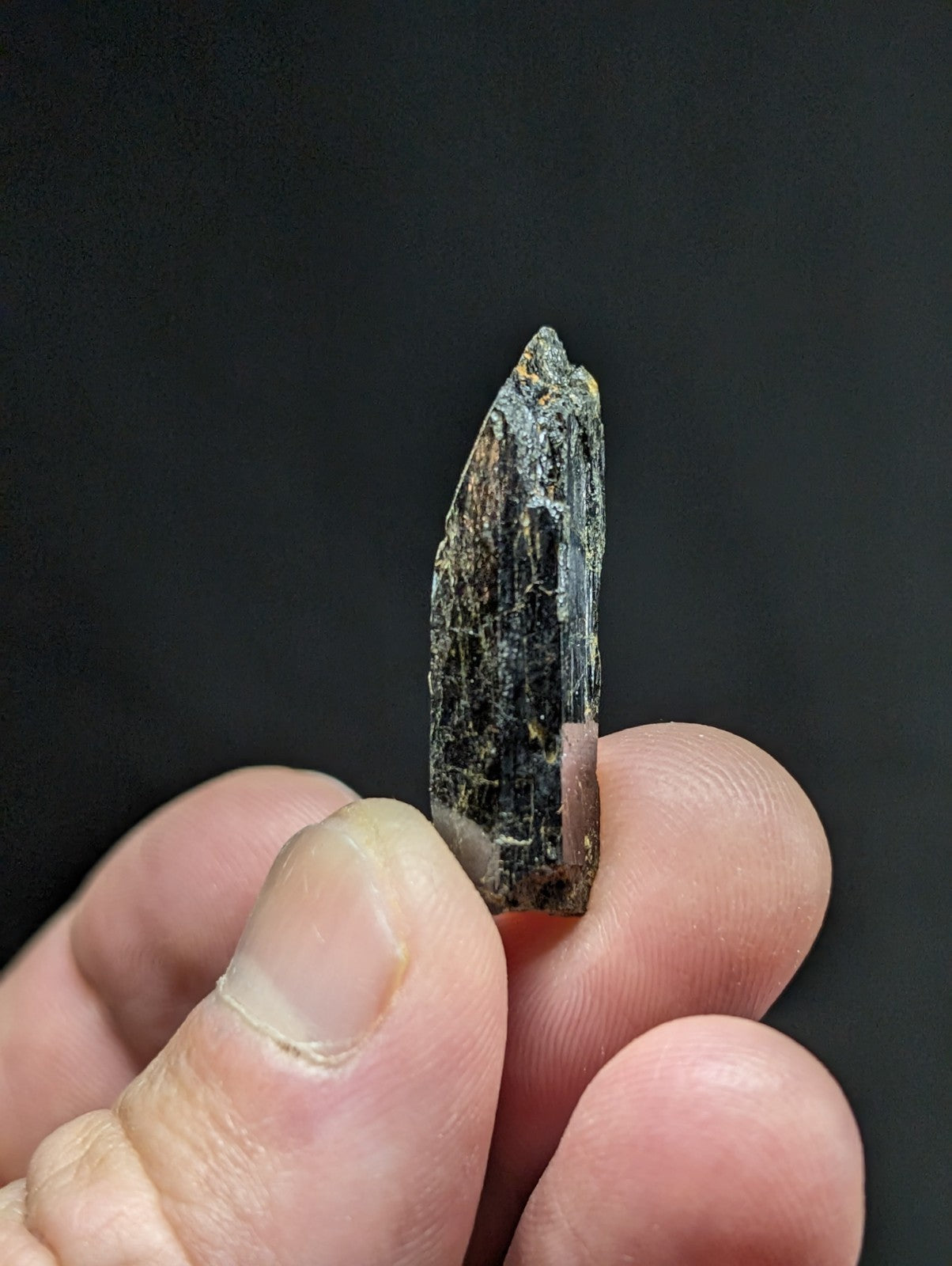 A dark, elongated mineral crystal with a pointed tip and visible striations.