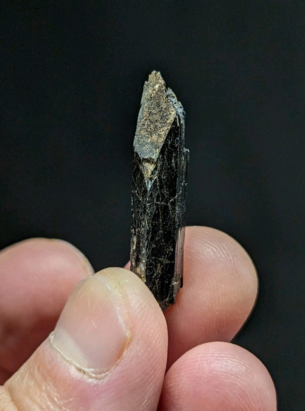 A dark, elongated mineral crystal with a rough, textured surface and a pointed tip.
