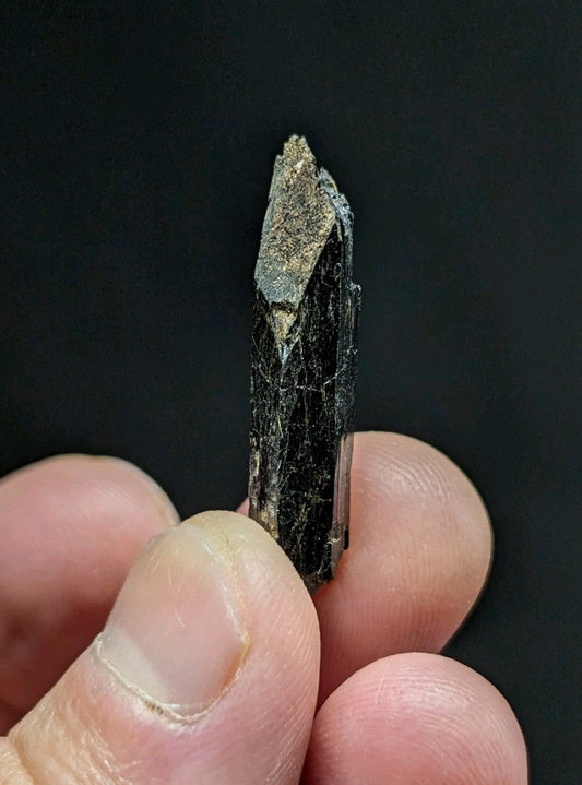 A dark, elongated mineral crystal with a rough, textured surface and a pointed tip.