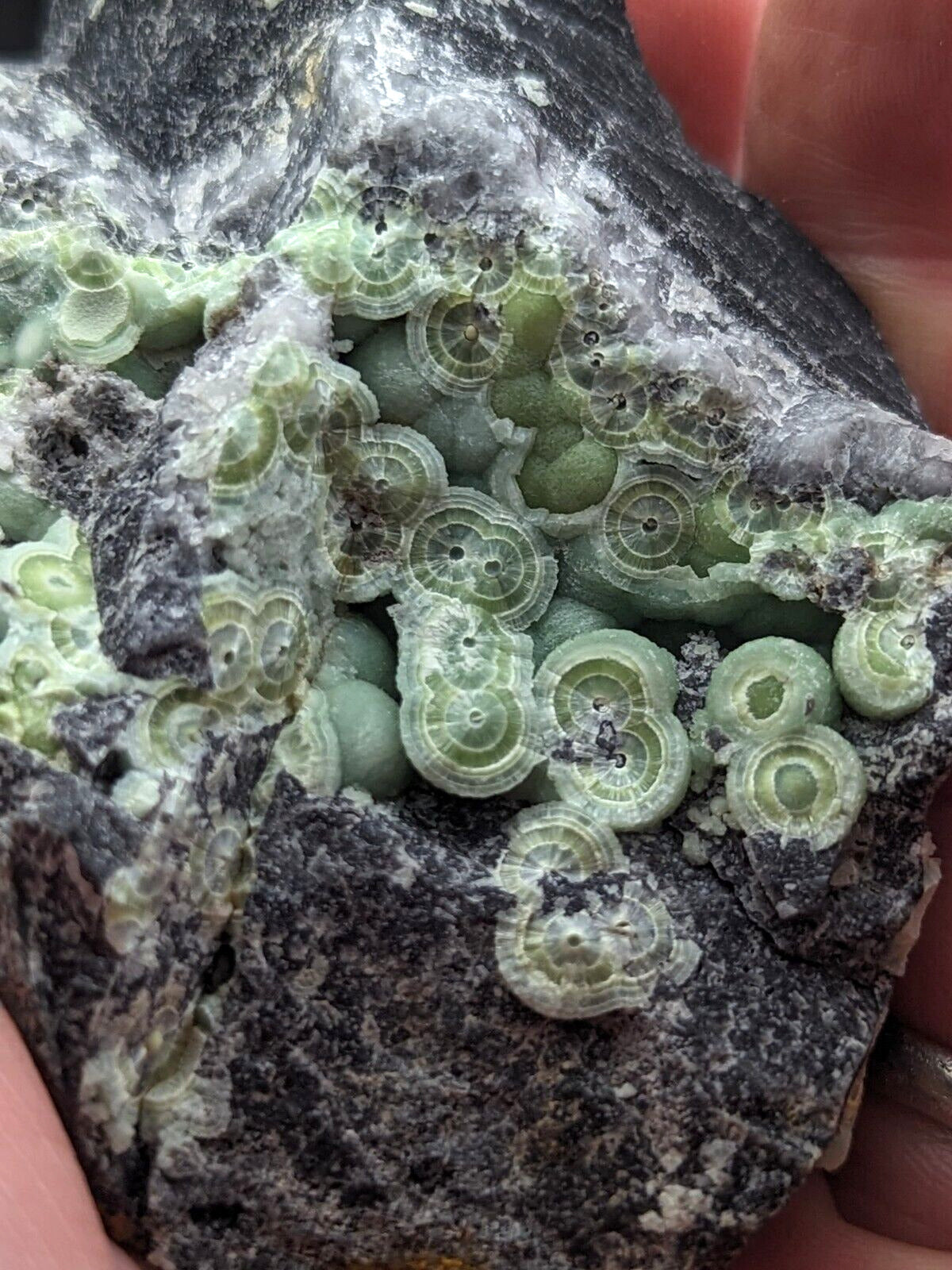 Amazing A + + + + Wavellite - Fantastic Old Stock - Mauldin Mountain Arkansas ooak - Collectibles:Rocks Fossils &