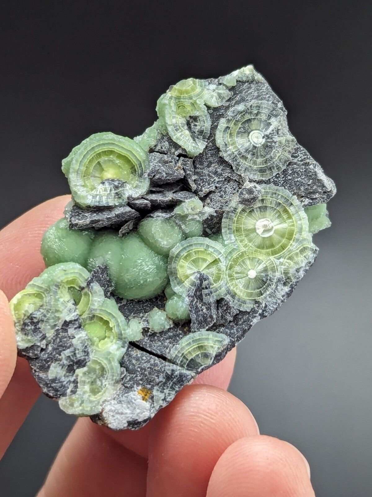 Amazing A + + + Wavellite - Fantastic Old Stock - Mauldin Mountain Arkansas ooak - Collectibles:Rocks Fossils &