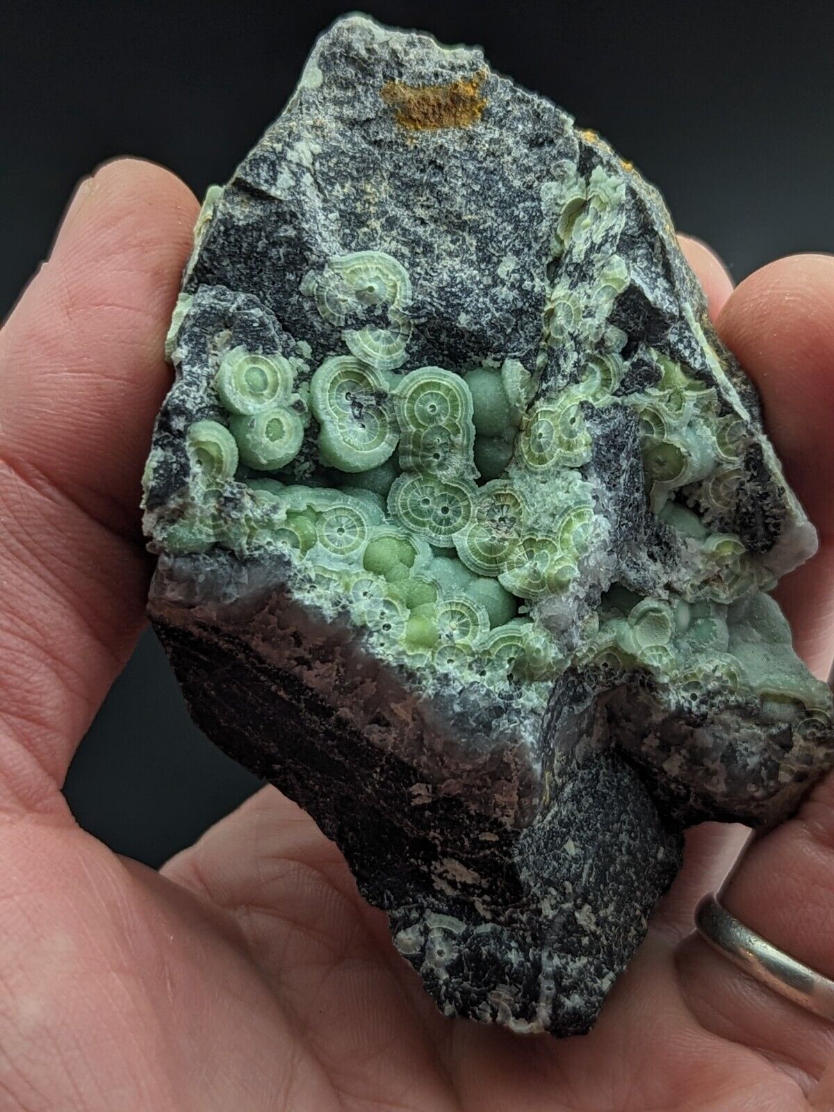 Amazing A + + + + Wavellite - Fantastic Old Stock - Mauldin Mountain Arkansas ooak - Collectibles:Rocks Fossils &