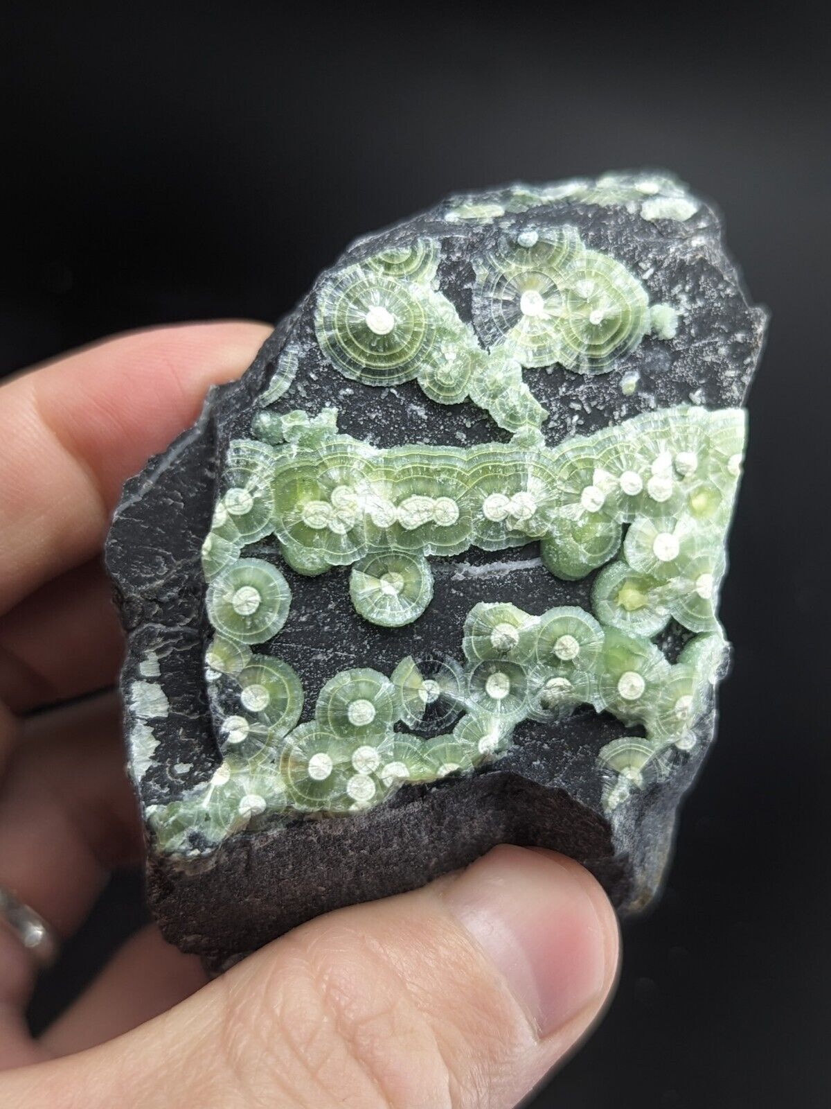 Amazing A + + + Wavellite - Fantastic Old Stock - Mauldin Mountain Arkansas ooak - Collectibles:Rocks Fossils &
