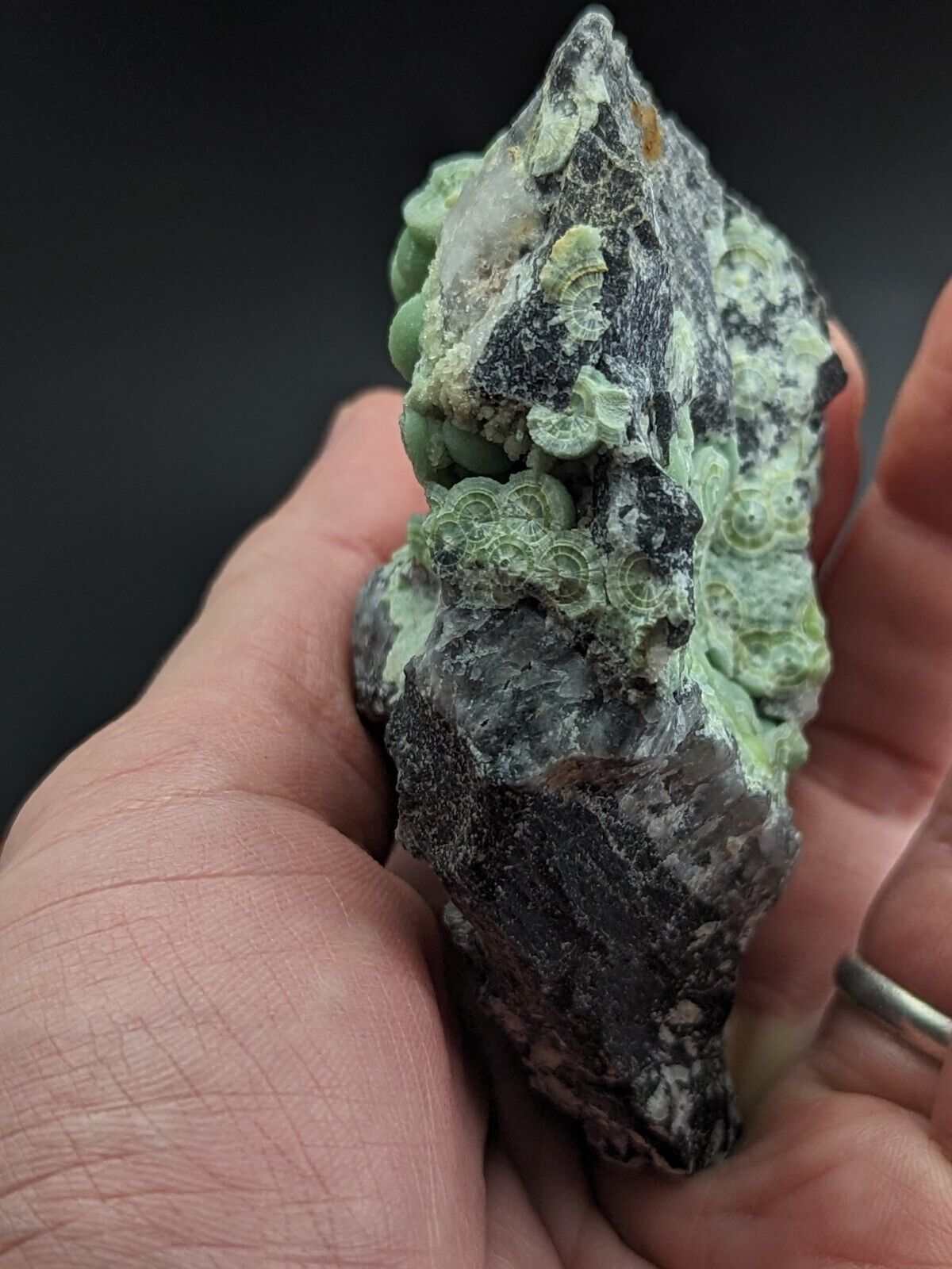 Amazing A + + + + Wavellite - Fantastic Old Stock - Mauldin Mountain Arkansas ooak - Collectibles:Rocks Fossils &