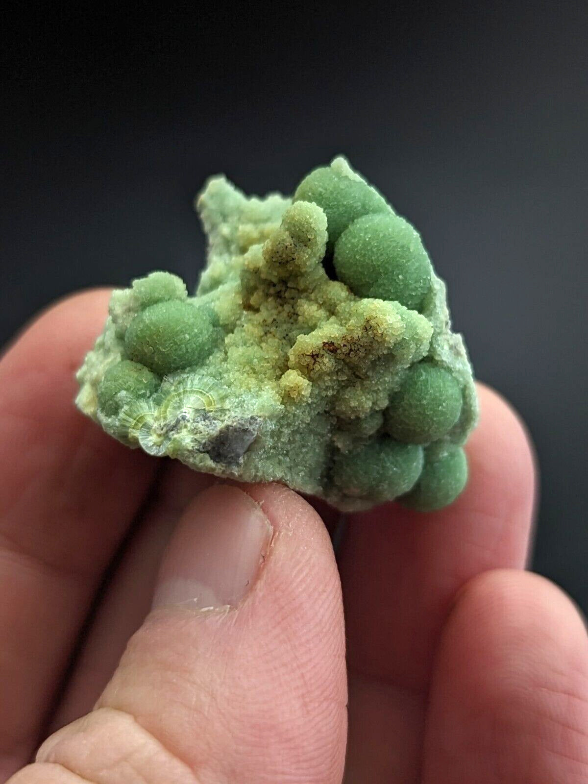 Amazing A + + + Wavellite - Fantastic Old Stock - Mauldin Mountain Arkansas ooak - Collectibles:Rocks Fossils &