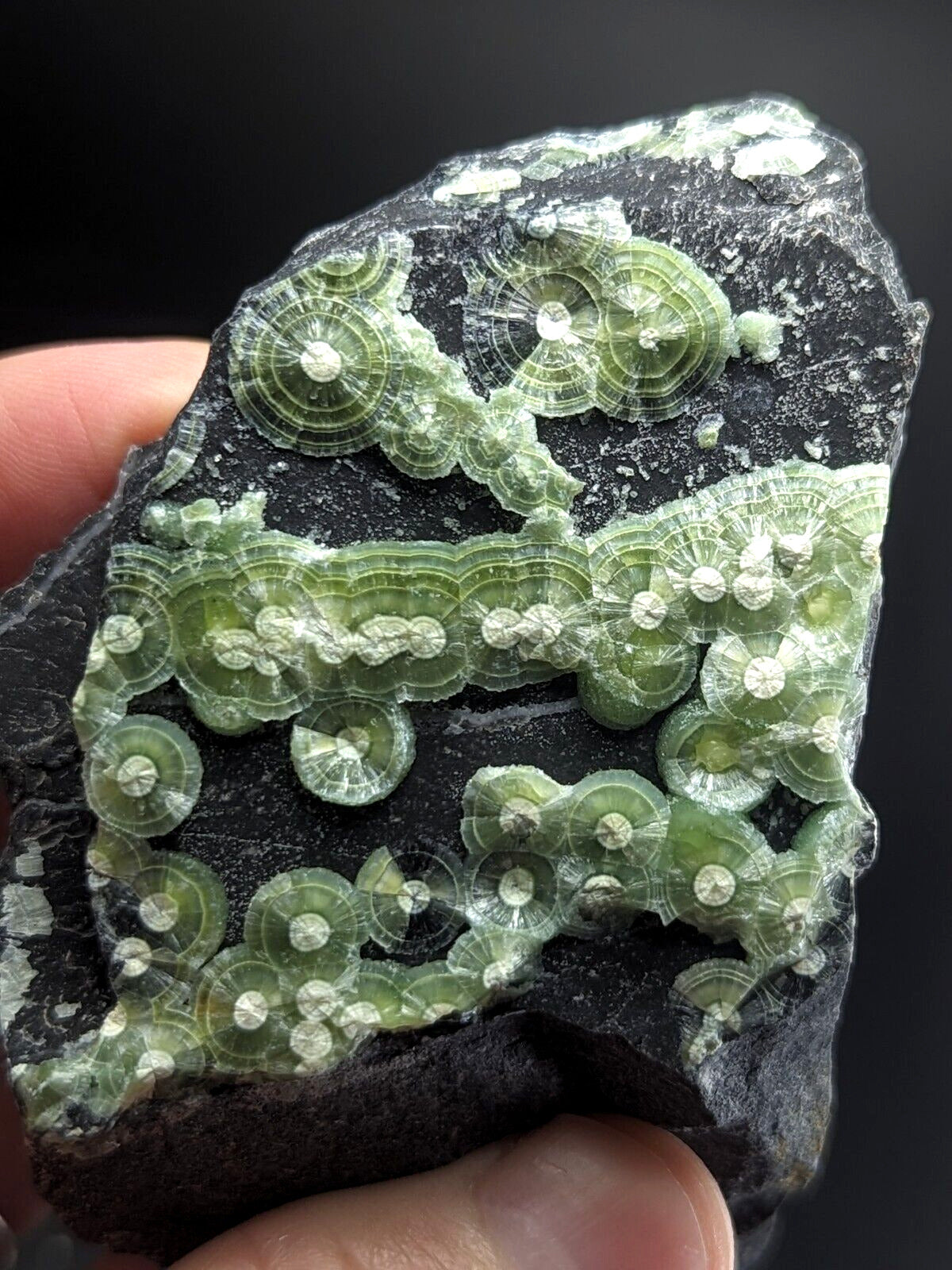 Amazing A + + + Wavellite - Fantastic Old Stock - Mauldin Mountain Arkansas ooak - Collectibles:Rocks Fossils &