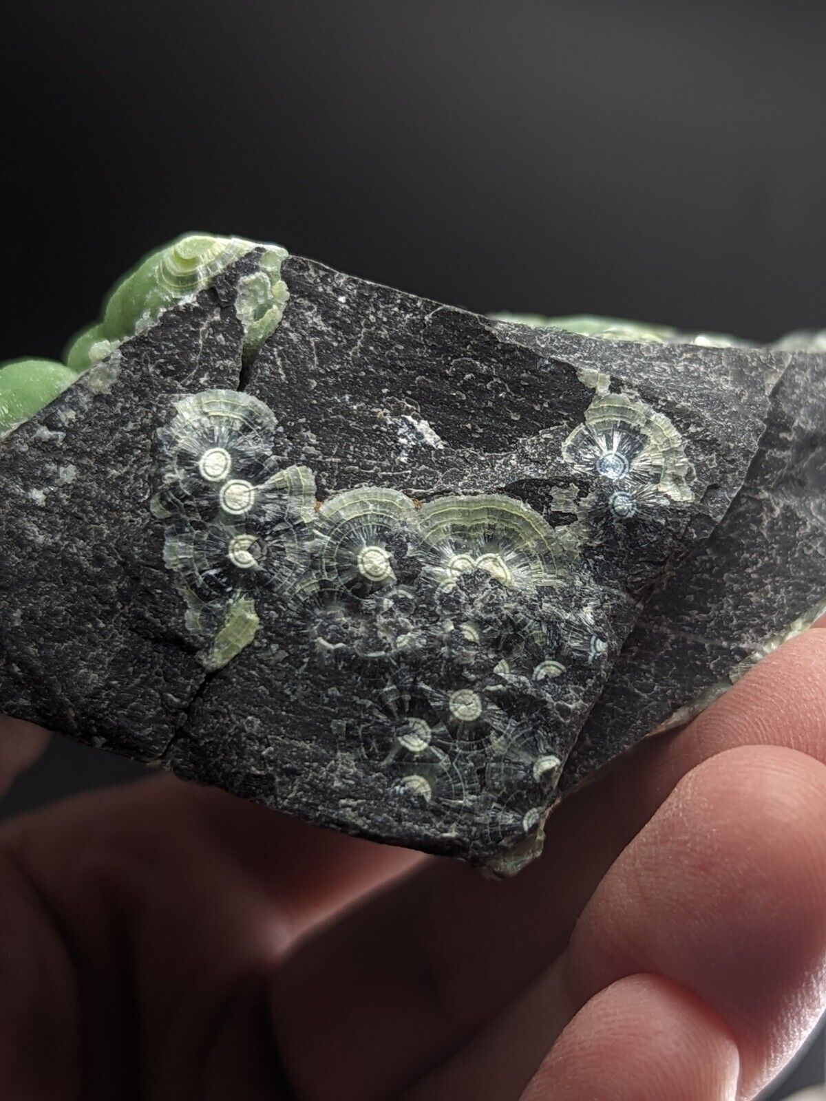 Amazing A + + + Wavellite - Fantastic Old Stock - Mauldin Mountain Arkansas ooak - Collectibles:Rocks Fossils &