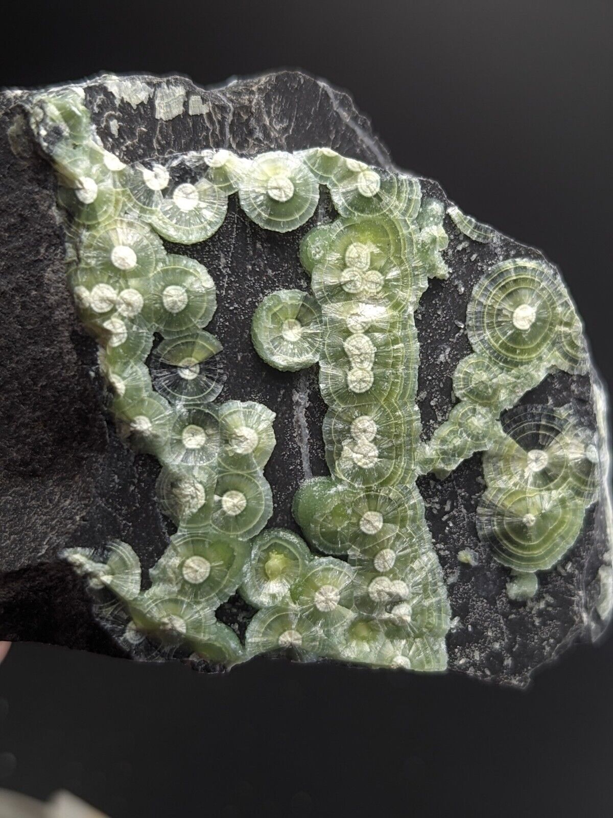 Amazing A + + + Wavellite - Fantastic Old Stock - Mauldin Mountain Arkansas ooak - Collectibles:Rocks Fossils &