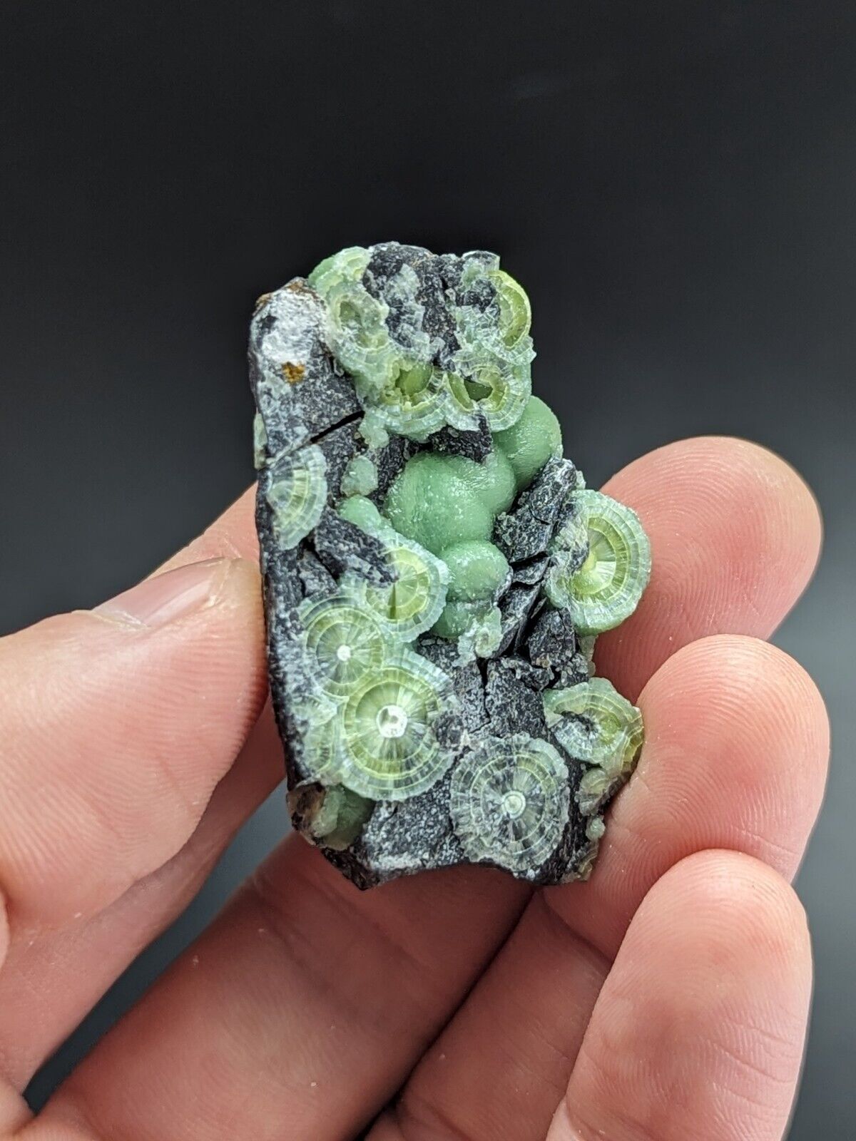 Amazing A + + + Wavellite - Fantastic Old Stock - Mauldin Mountain Arkansas ooak - Collectibles:Rocks Fossils &