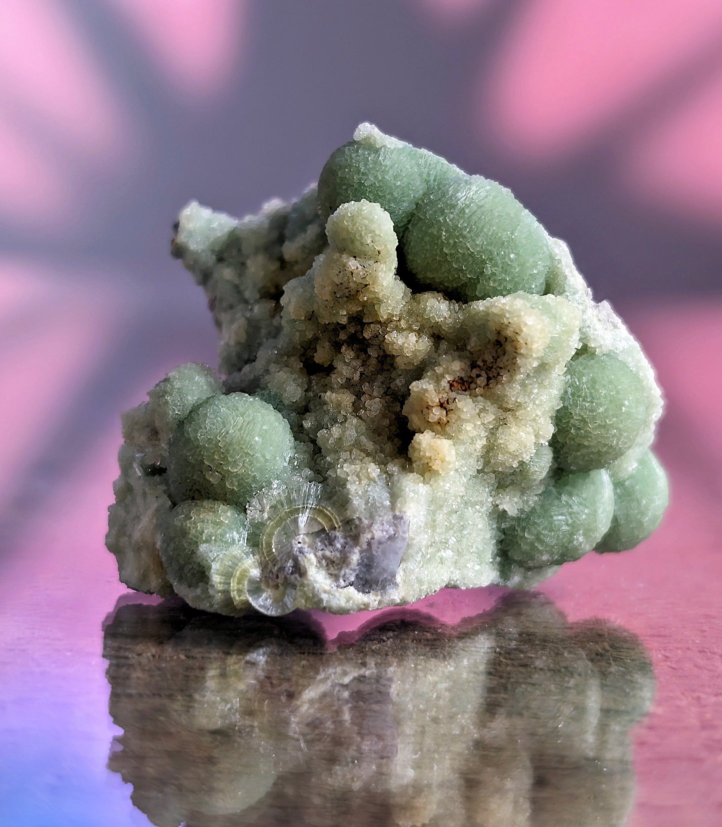 Amazing A + + + Wavellite - Fantastic Old Stock - Mauldin Mountain Arkansas ooak - Collectibles:Rocks Fossils &