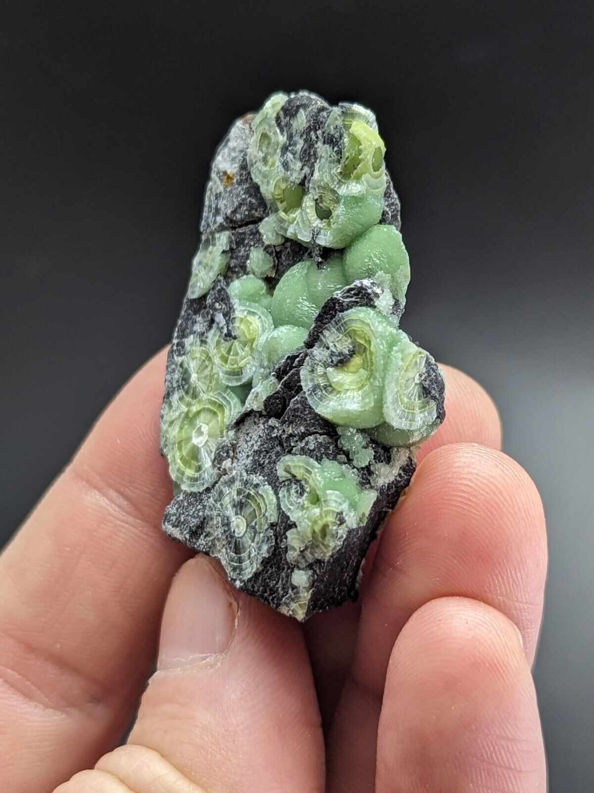 Amazing A + + + Wavellite - Fantastic Old Stock - Mauldin Mountain Arkansas ooak - Collectibles:Rocks Fossils &